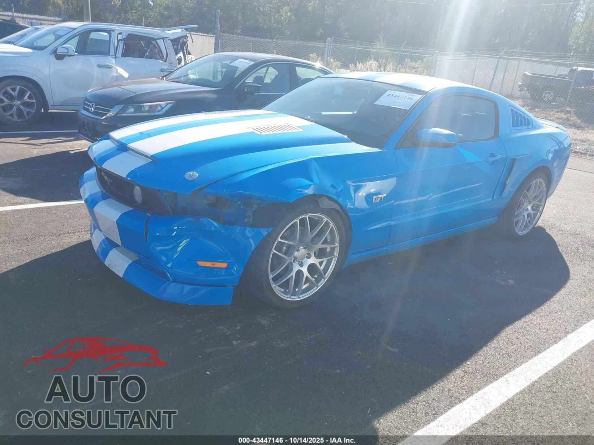 FORD MUSTANG 2010 - 1ZVBP8CH4A5124424