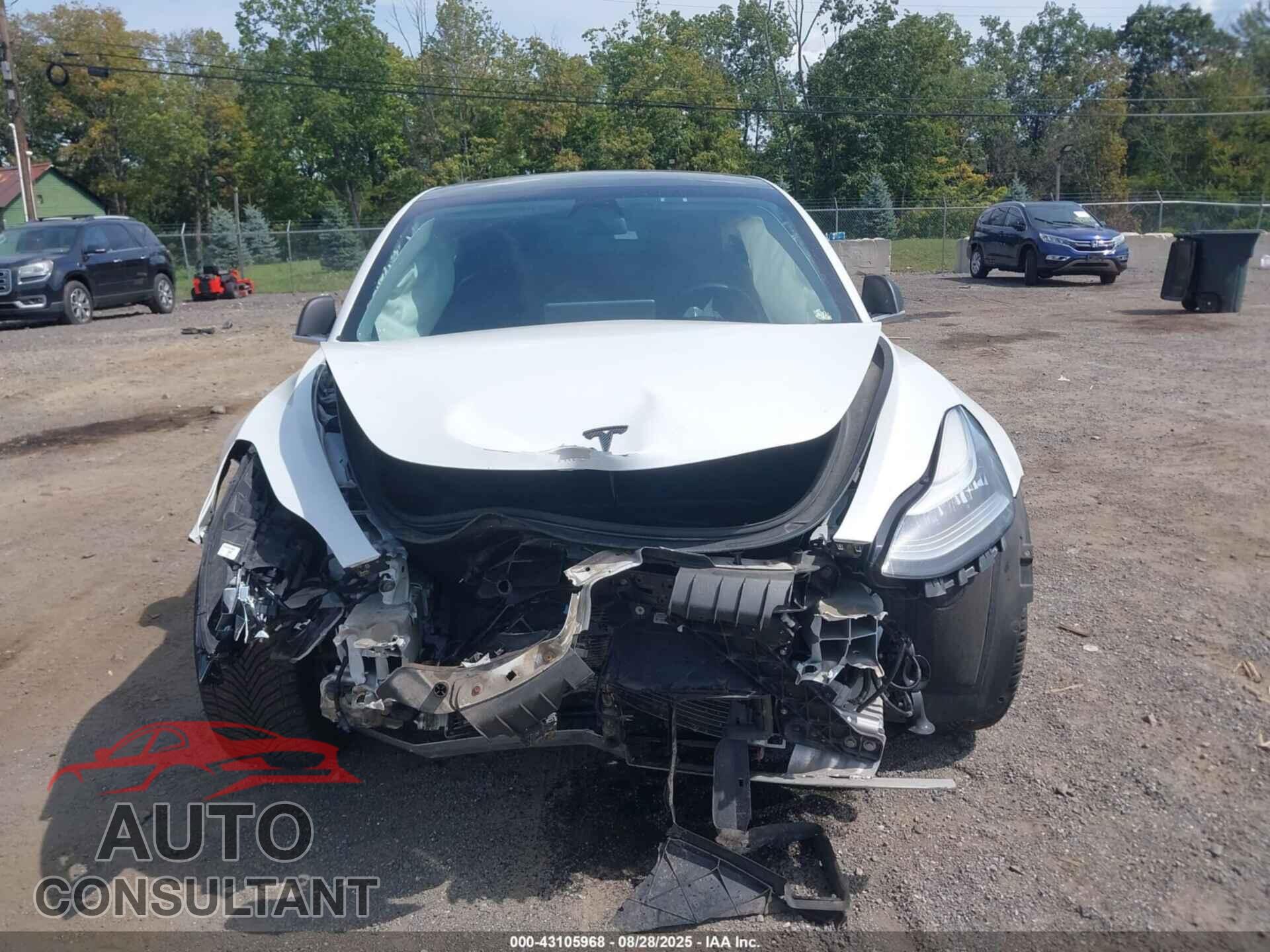 TESLA MODEL 3 2019 - 5YJ3E1EA2KF483369