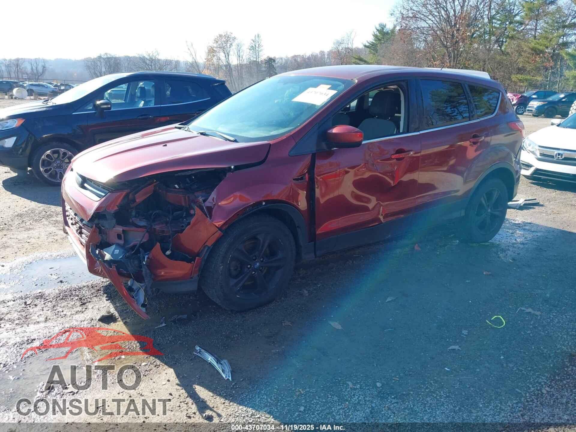 FORD ESCAPE 2014 - 1FMCU9GX4EUC53116