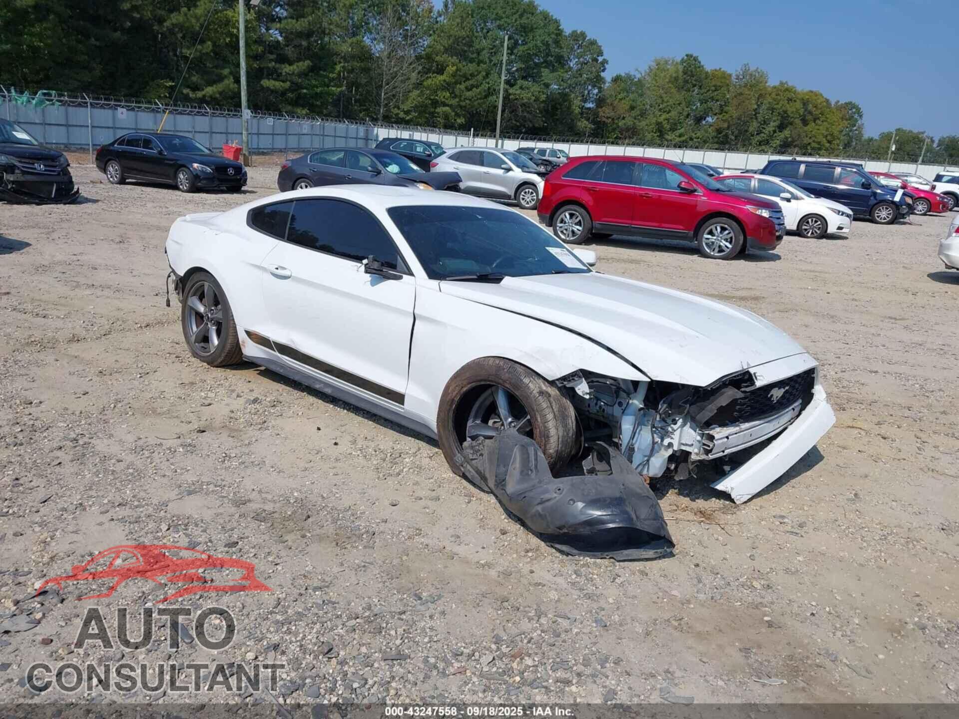 FORD MUSTANG 2016 - 1FA6P8AM7G5241160