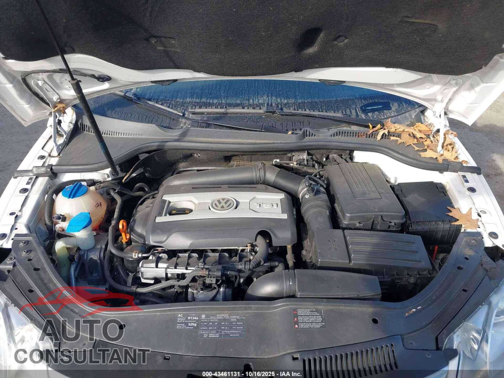VOLKSWAGEN EOS 2009 - WVWBA71FX9V010035