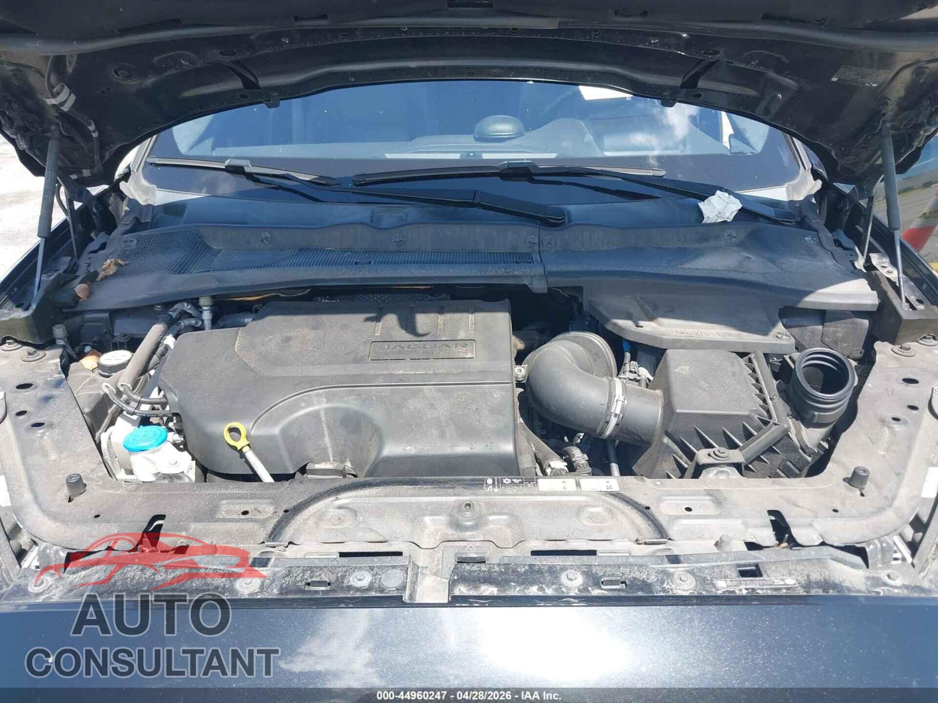 JAGUAR E-PACE 2018 - SADFL2FX5J1Z01544