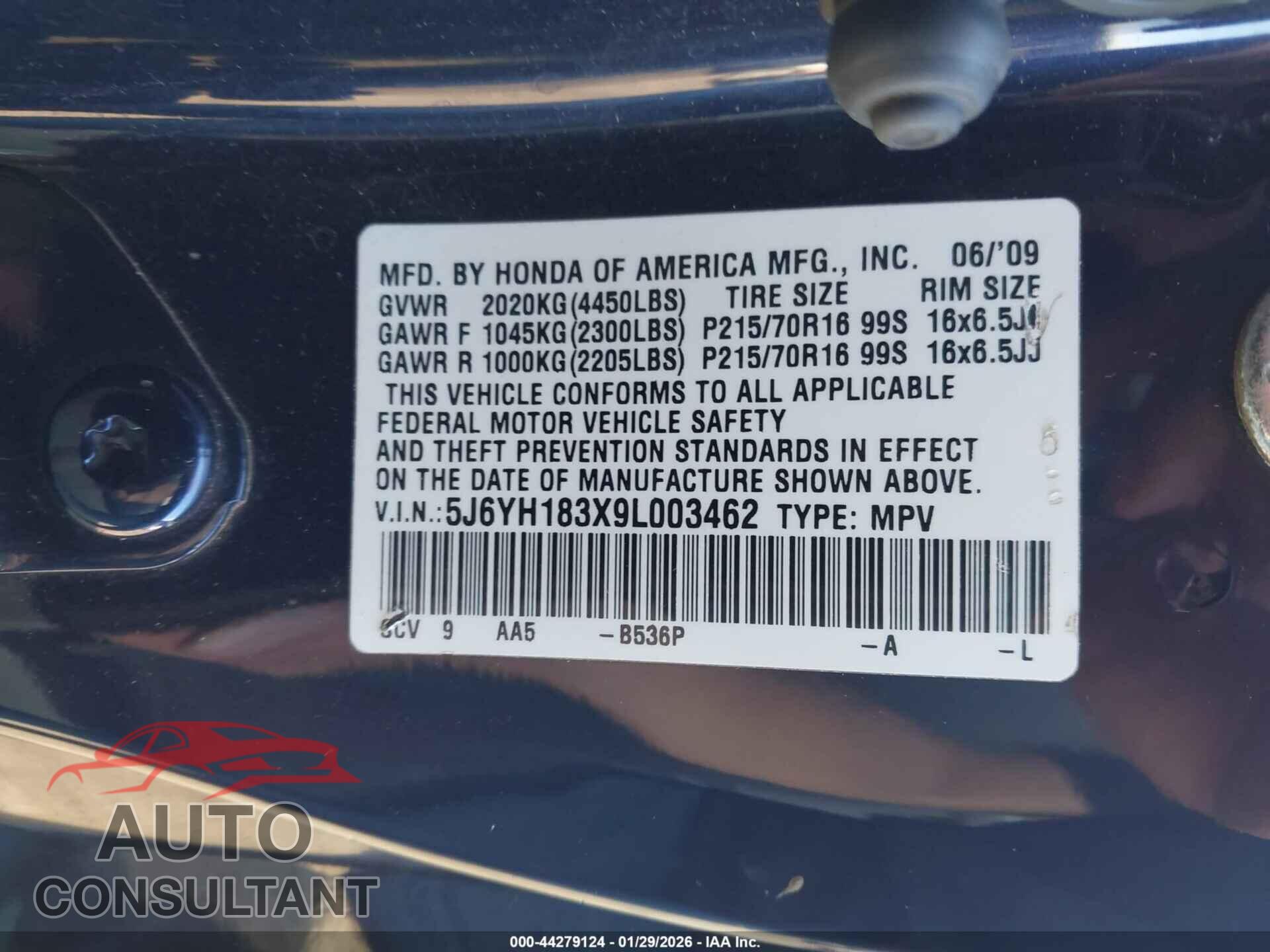 HONDA ELEMENT 2009 - 5J6YH183X9L003462