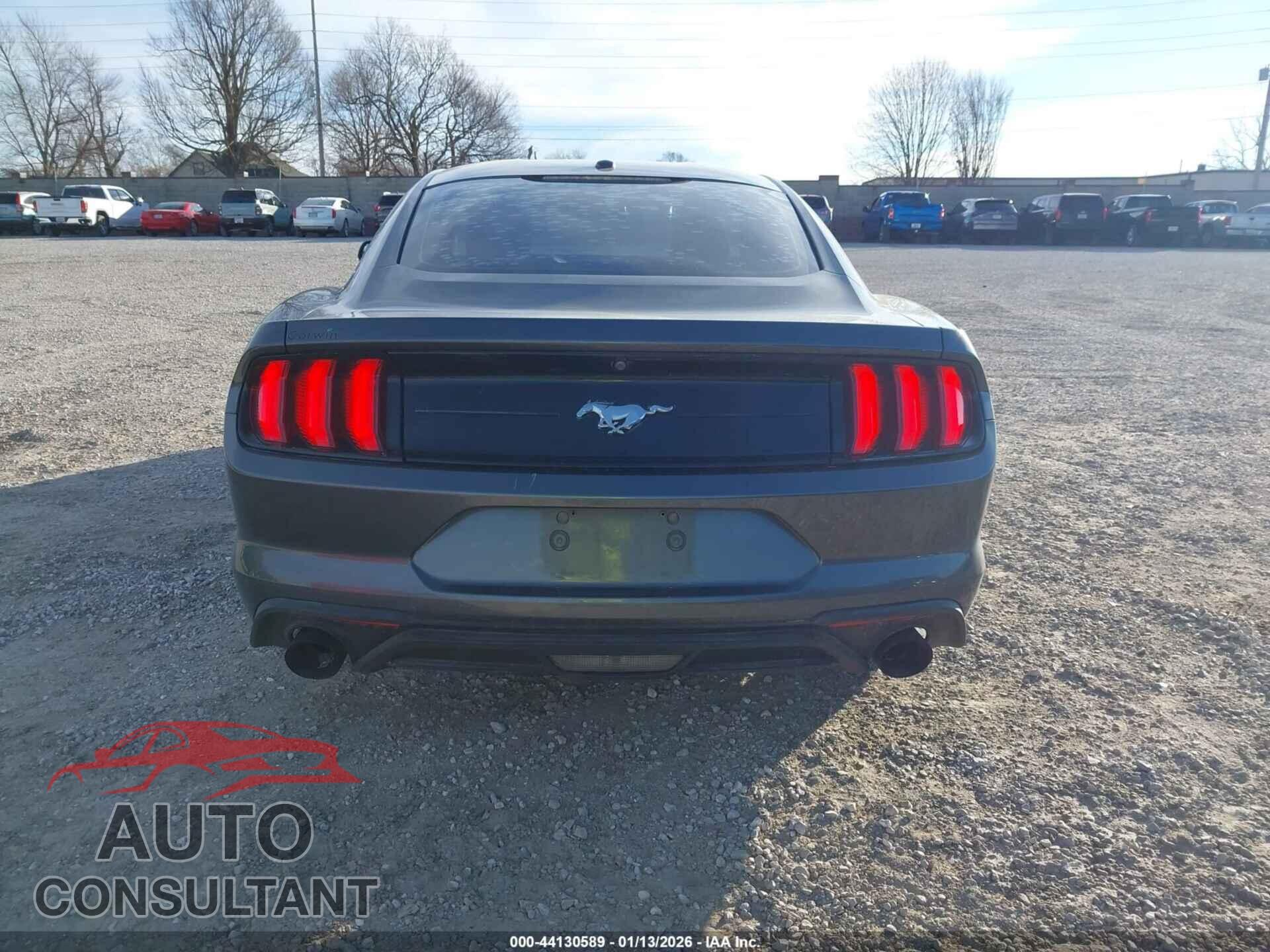 FORD MUSTANG 2019 - 1FA6P8TH8K5115253