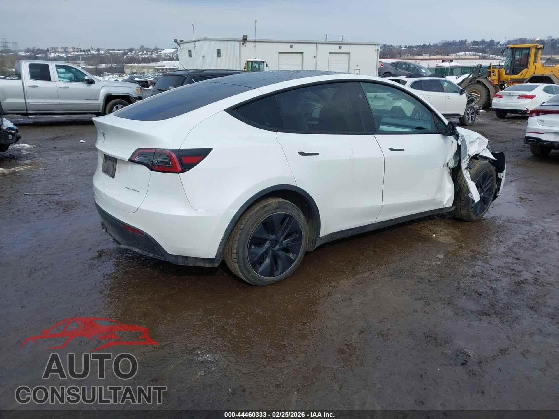 TESLA MODEL Y 2024 - 7SAYGAEE4RF121382