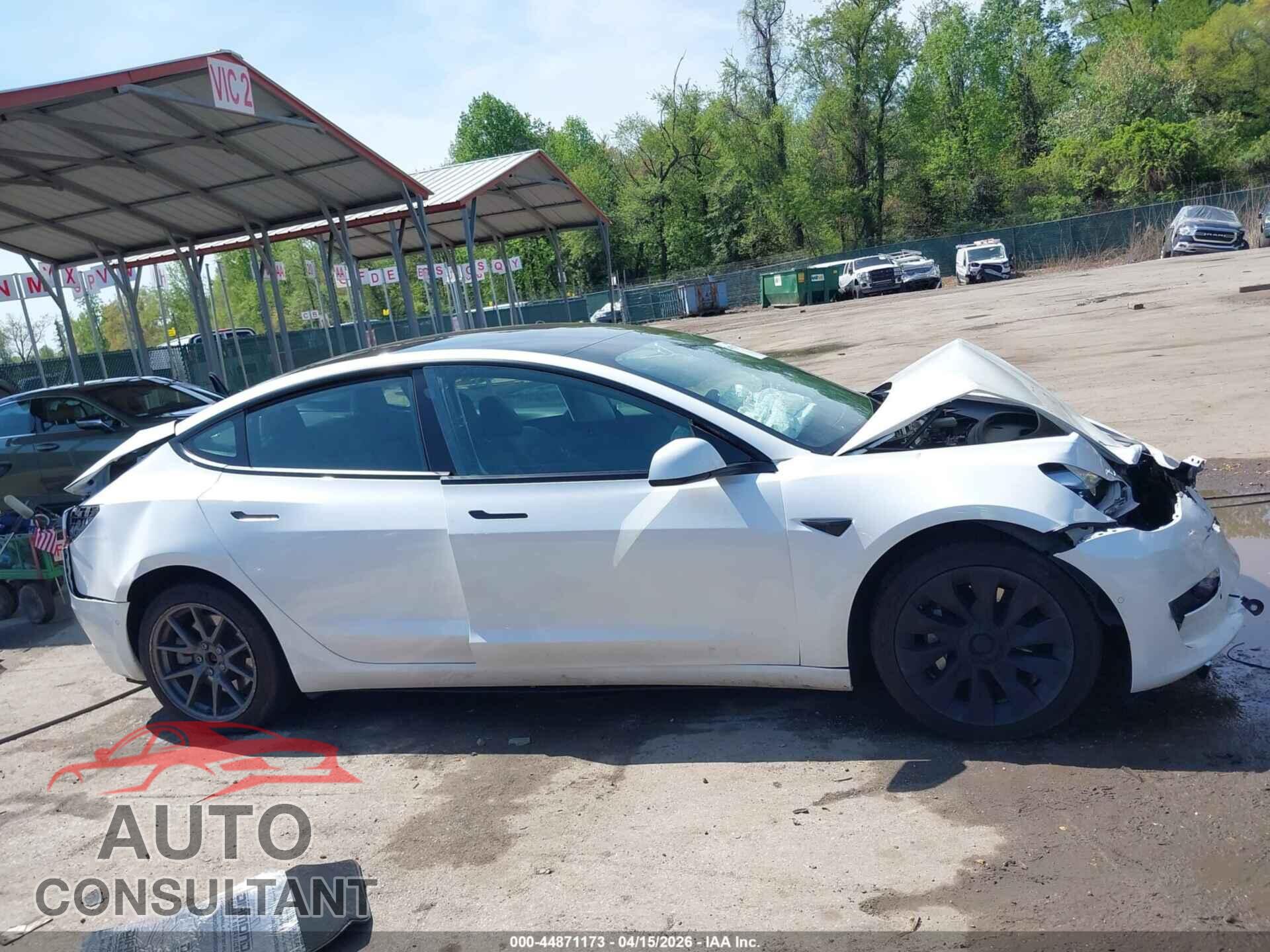 TESLA MODEL 3 2021 - 5YJ3E1EB5MF965443