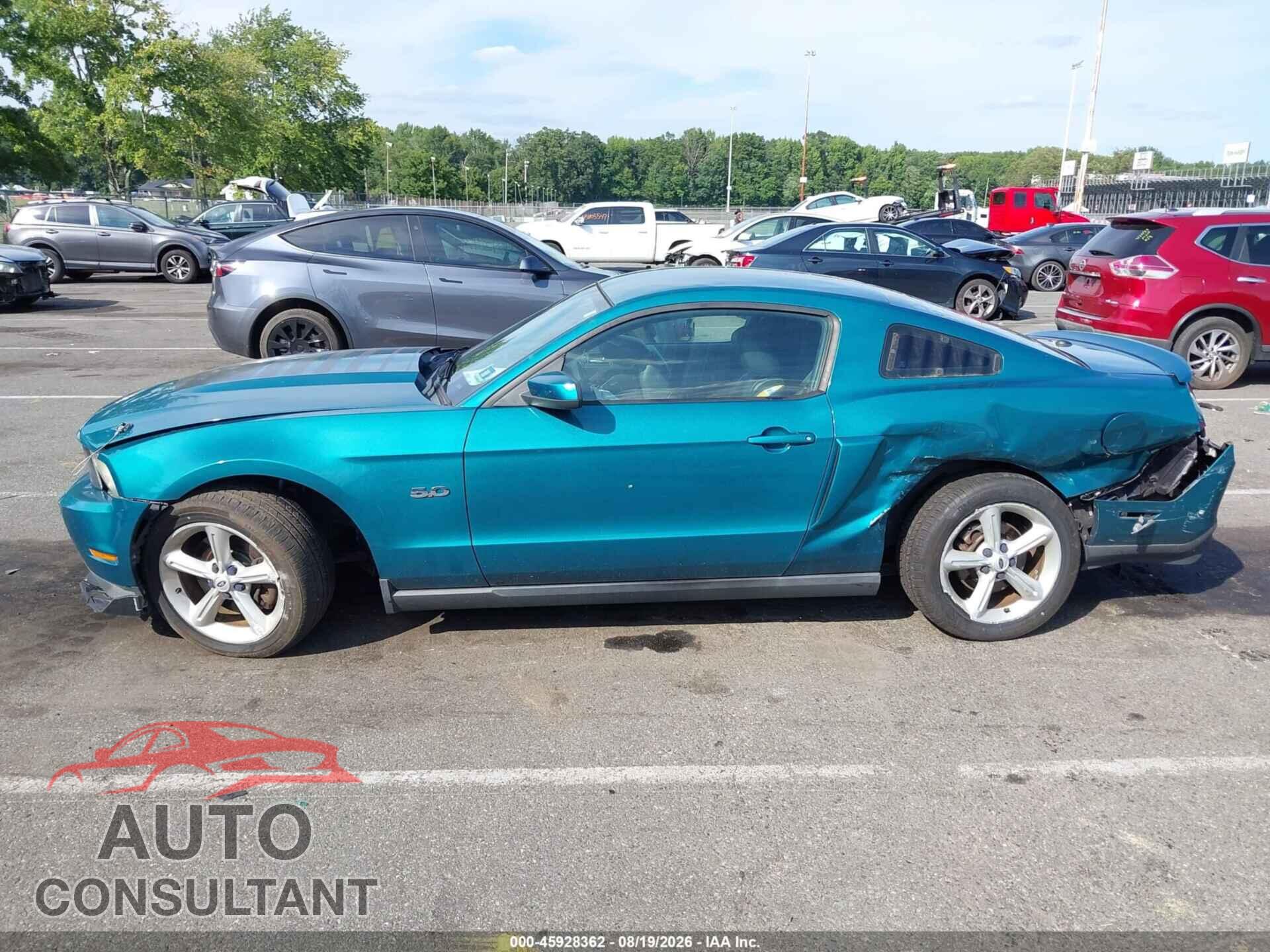 FORD MUSTANG 2011 - 1ZVBP8CF2B5121442