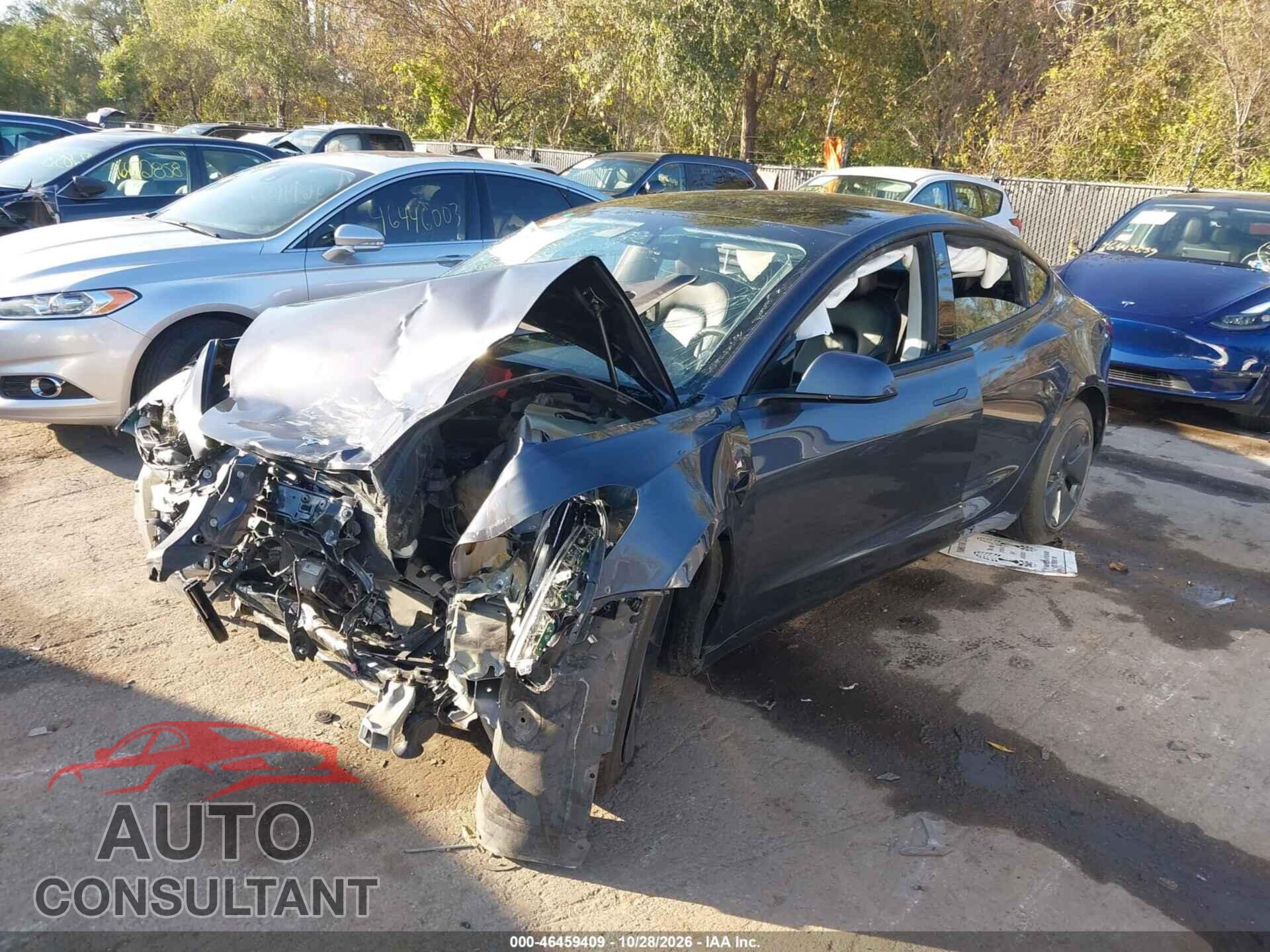 TESLA MODEL 3 2021 - 5YJ3E1EB3MF066242