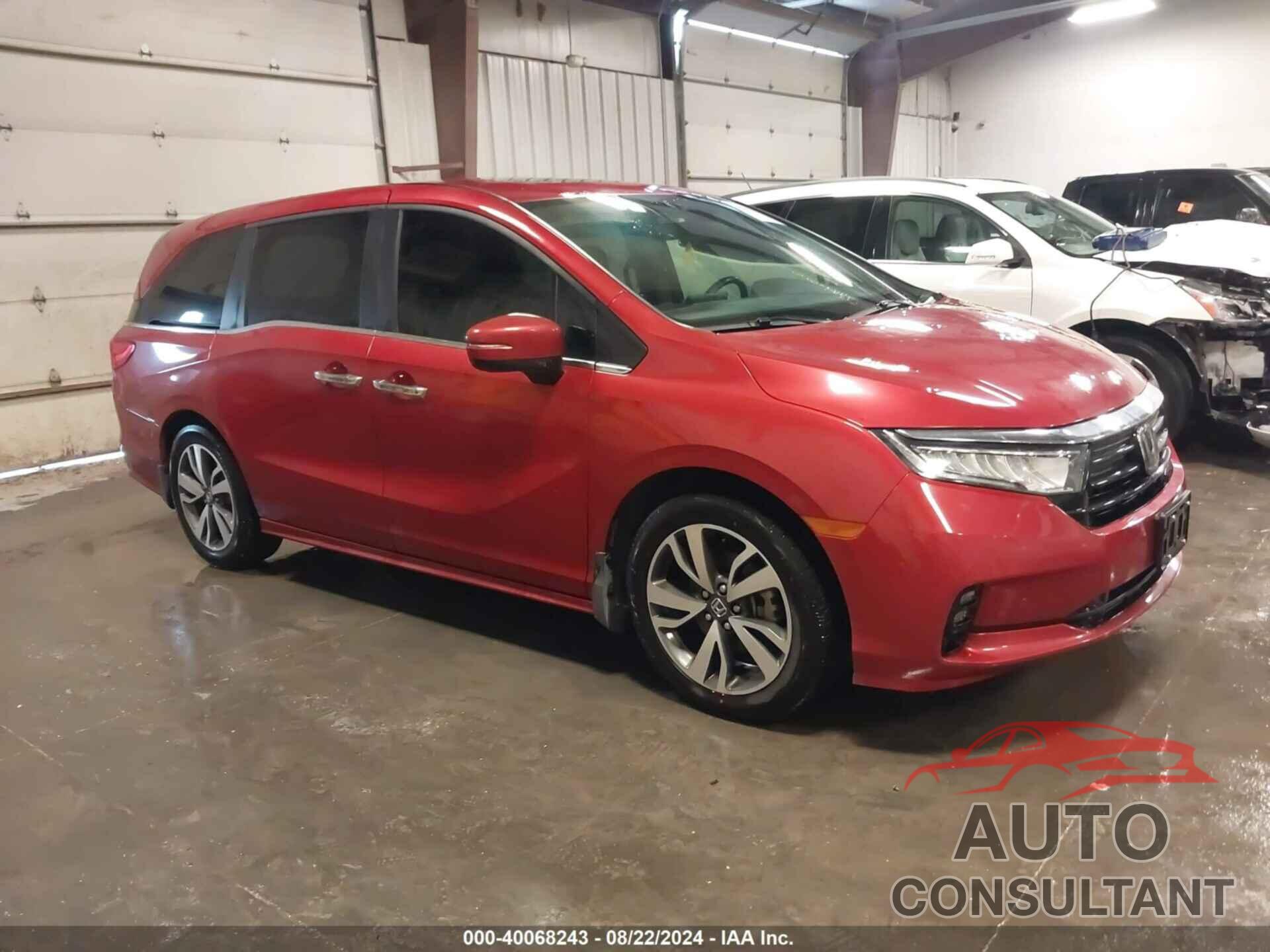 HONDA ODYSSEY 2022 - 5FNRL6H87NB027507