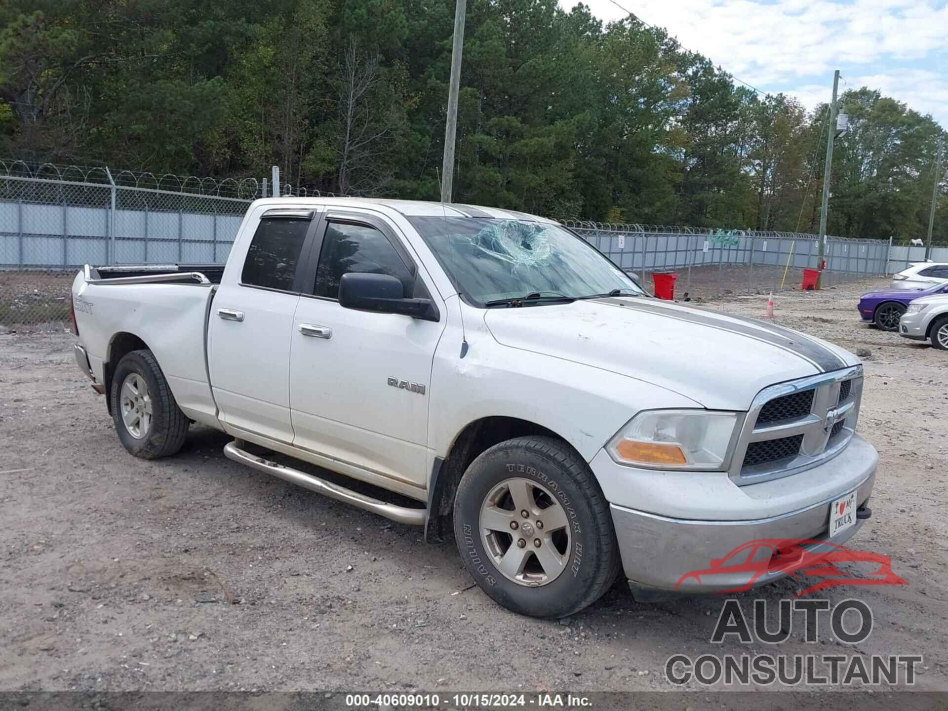 DODGE RAM 1500 2010 - 1D7RB1GP5AS249030