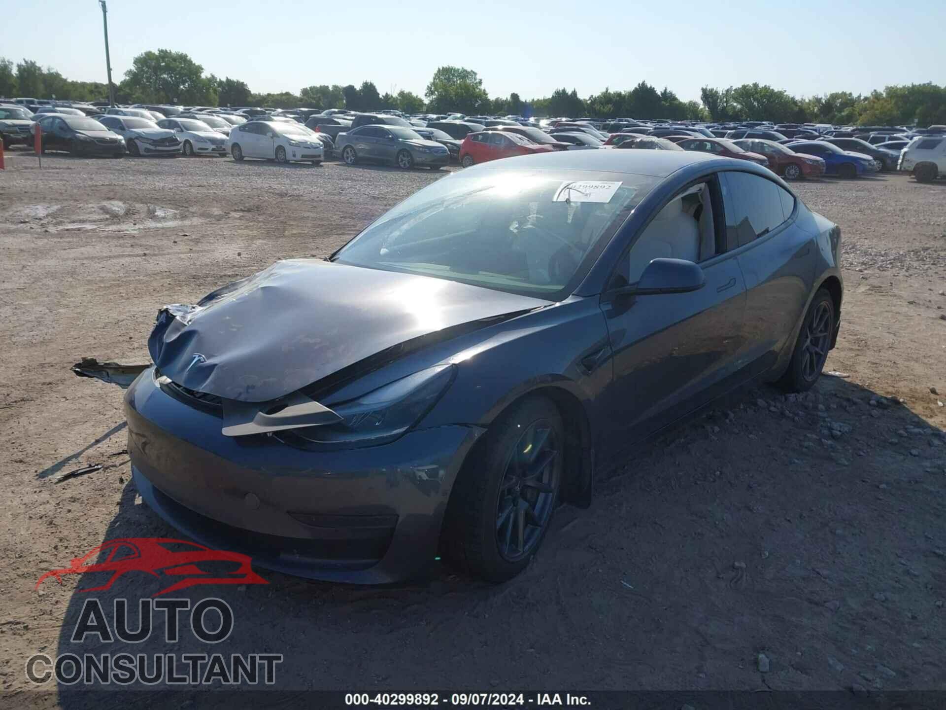 TESLA MODEL 3 2021 - 5YJ3E1EA3MF978246