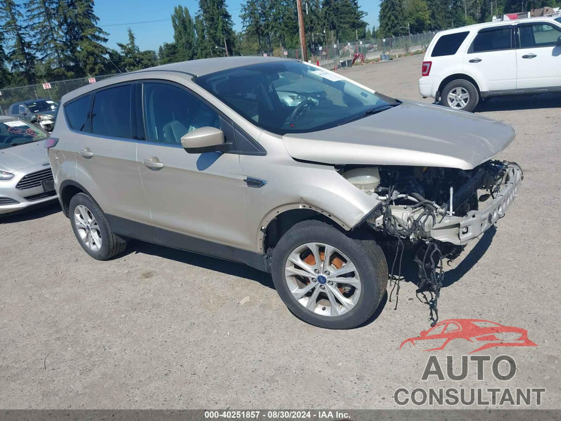 FORD ESCAPE 2017 - 1FMCU0GD1HUB30511