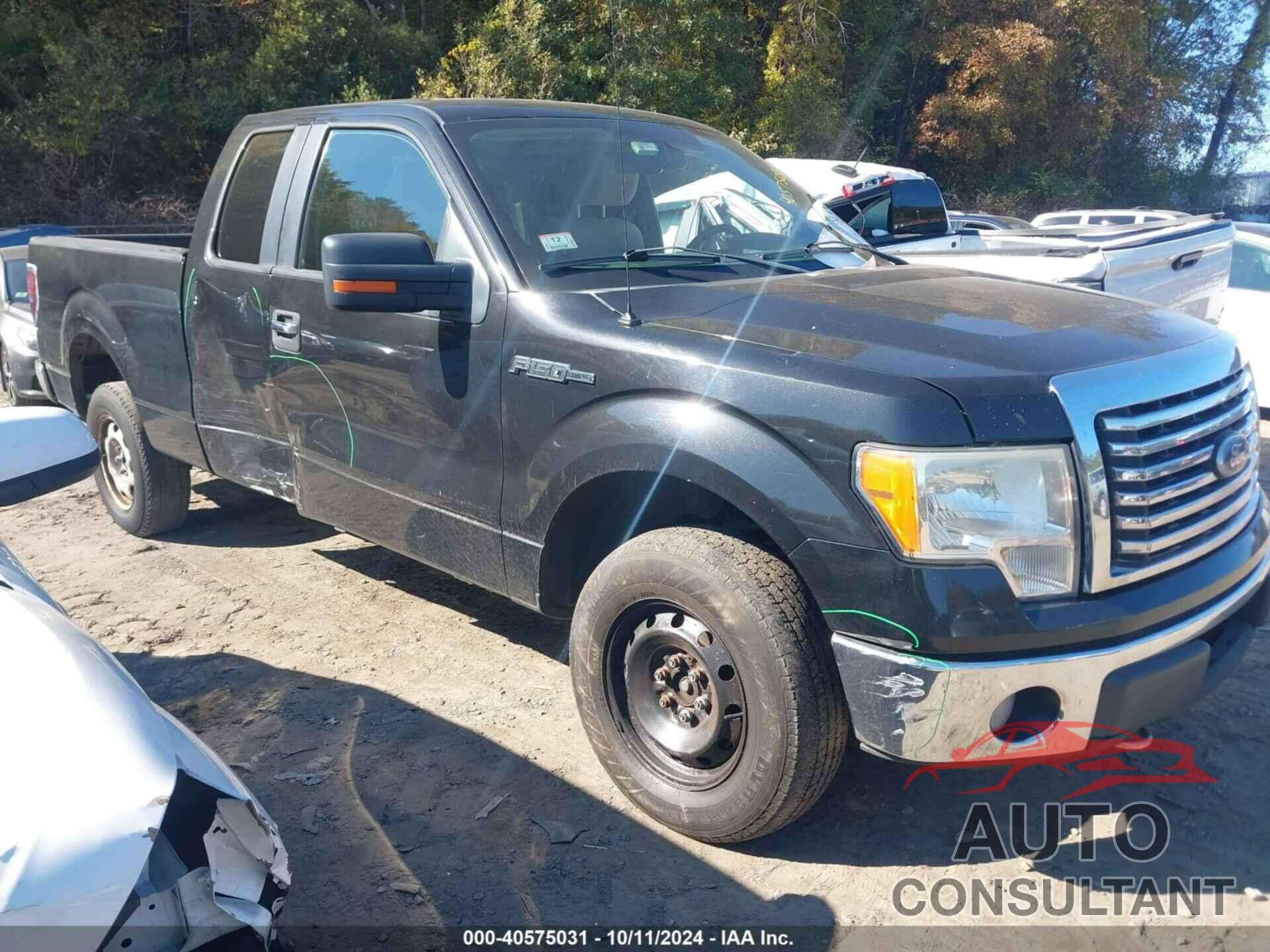 FORD F-150 2010 - 1FTFX1EVXAKE48056