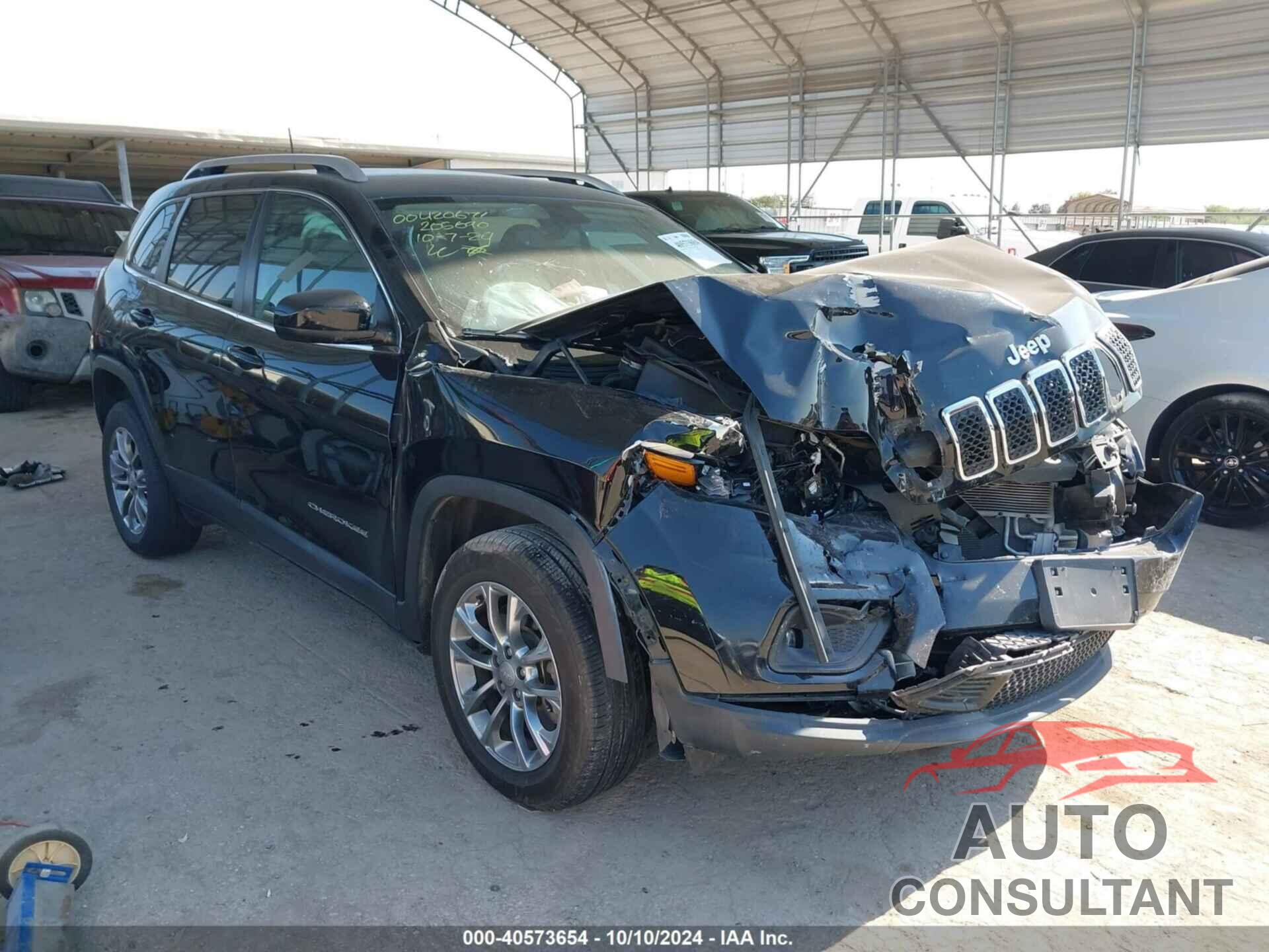JEEP CHEROKEE 2019 - 1C4PJLLB3KD205690