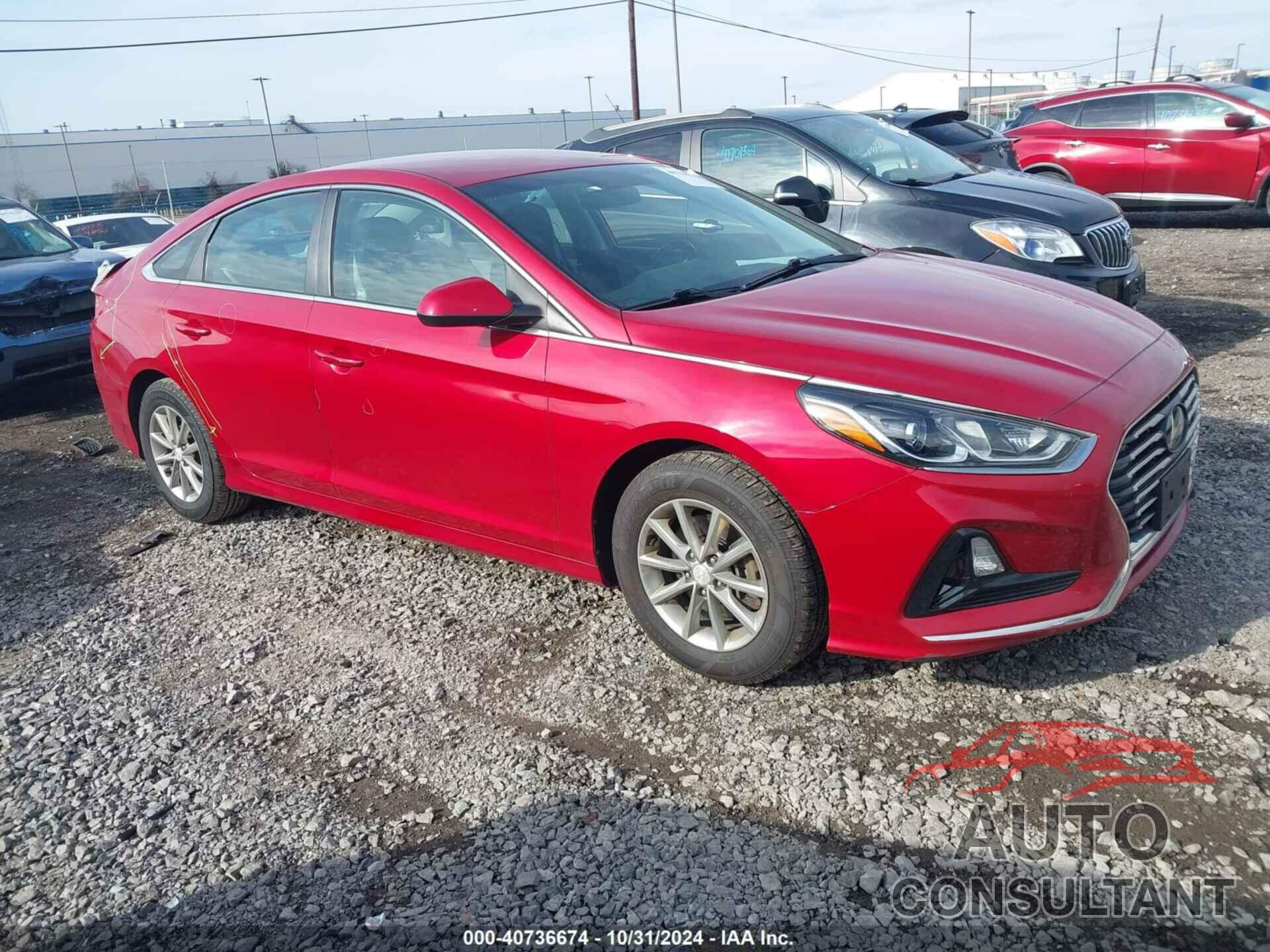 HYUNDAI SONATA 2019 - 5NPE24AF9KH749170
