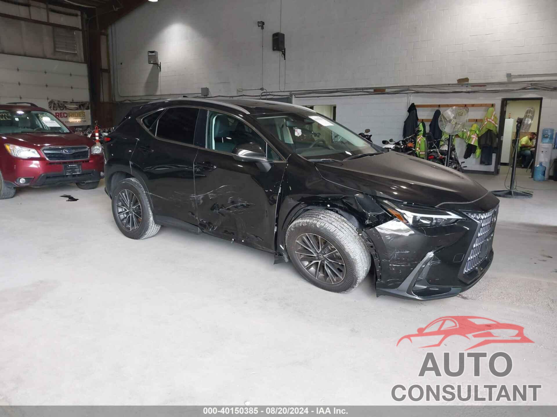 LEXUS NX 350 2024 - 2T2GGCEZ9RC059775