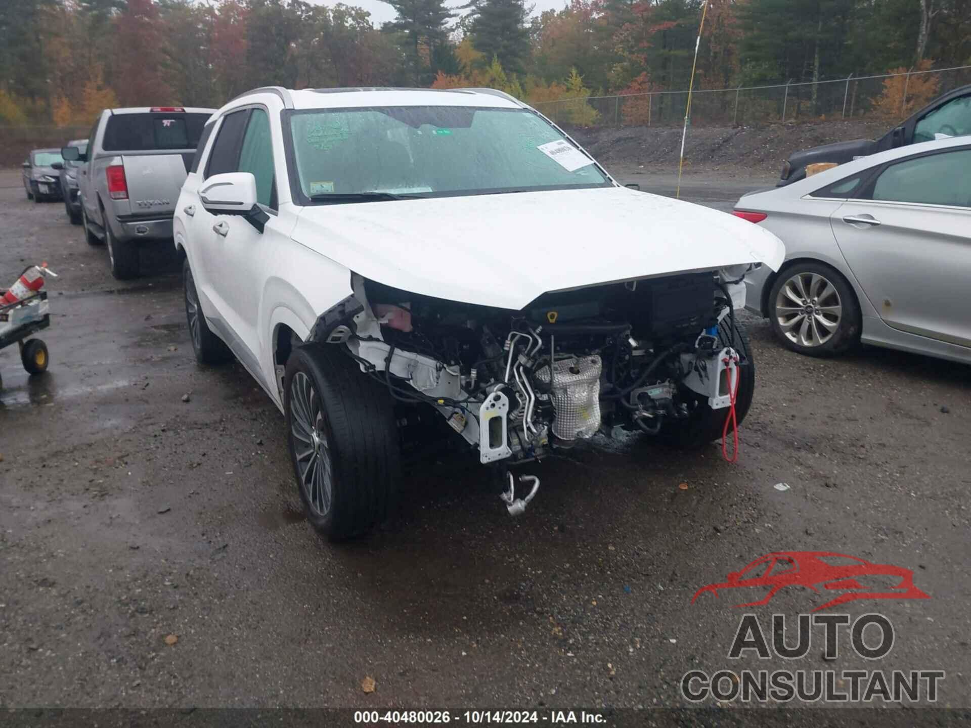 HYUNDAI PALISADE 2023 - KM8R7DGE6PU609913