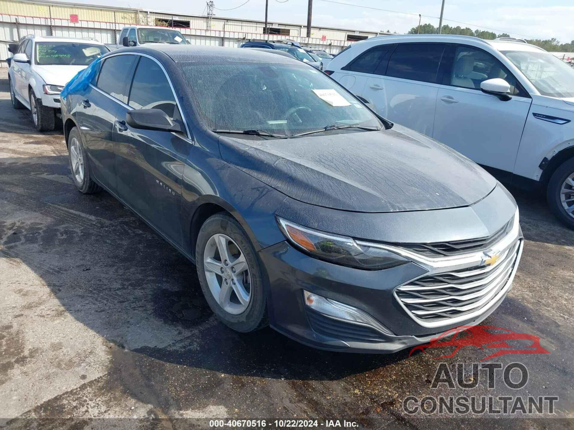 CHEVROLET MALIBU 2019 - 1G1ZB5ST7KF206706