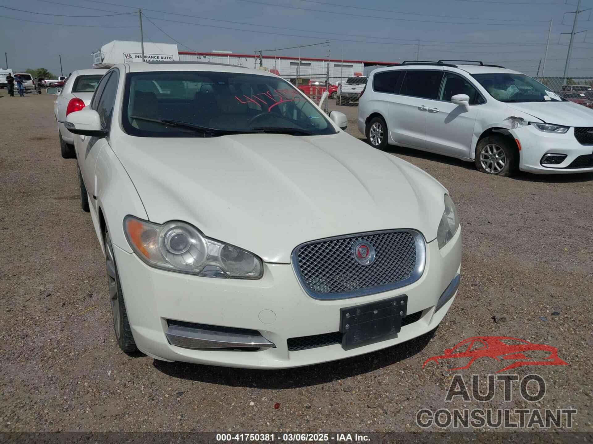 JAGUAR XF 2009 - SAJWA06B29HR10894