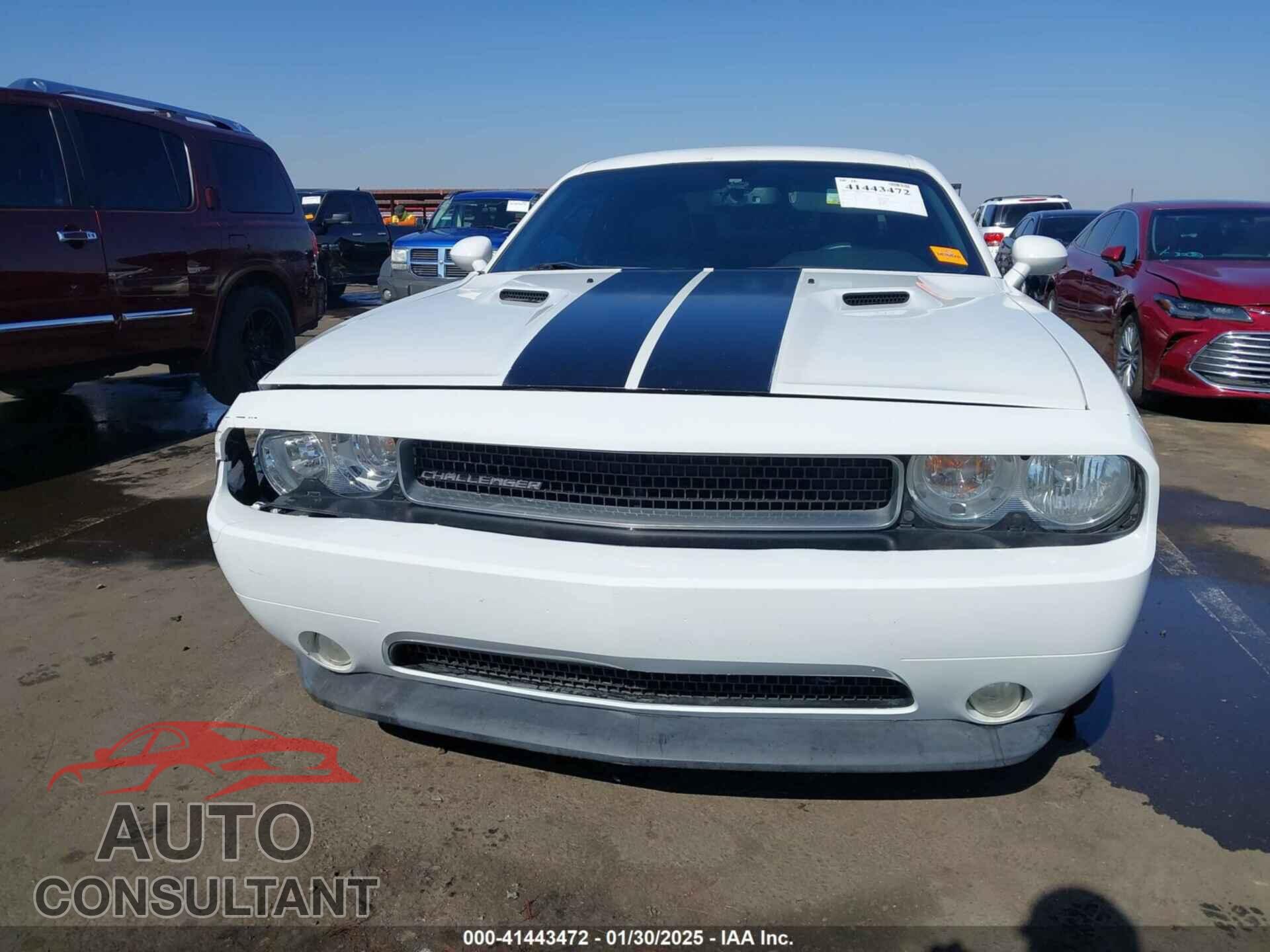 DODGE CHALLENGER 2013 - 2C3CDYAG3DH573945
