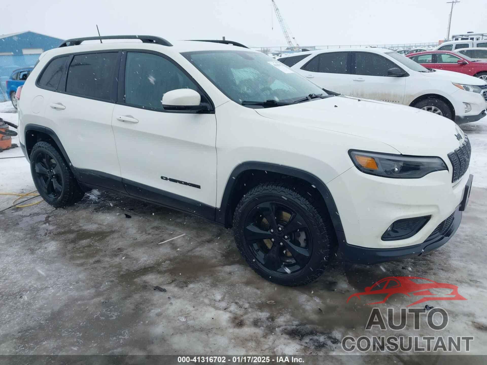 JEEP CHEROKEE 2019 - 1C4PJMLBXKD320132