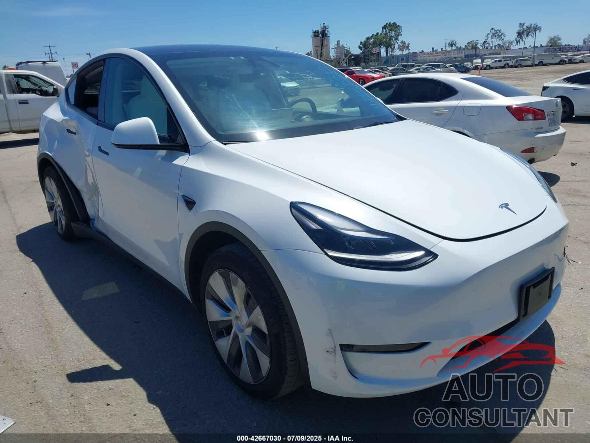 TESLA MODEL Y 2024 - 7SAYGDED0RF052621