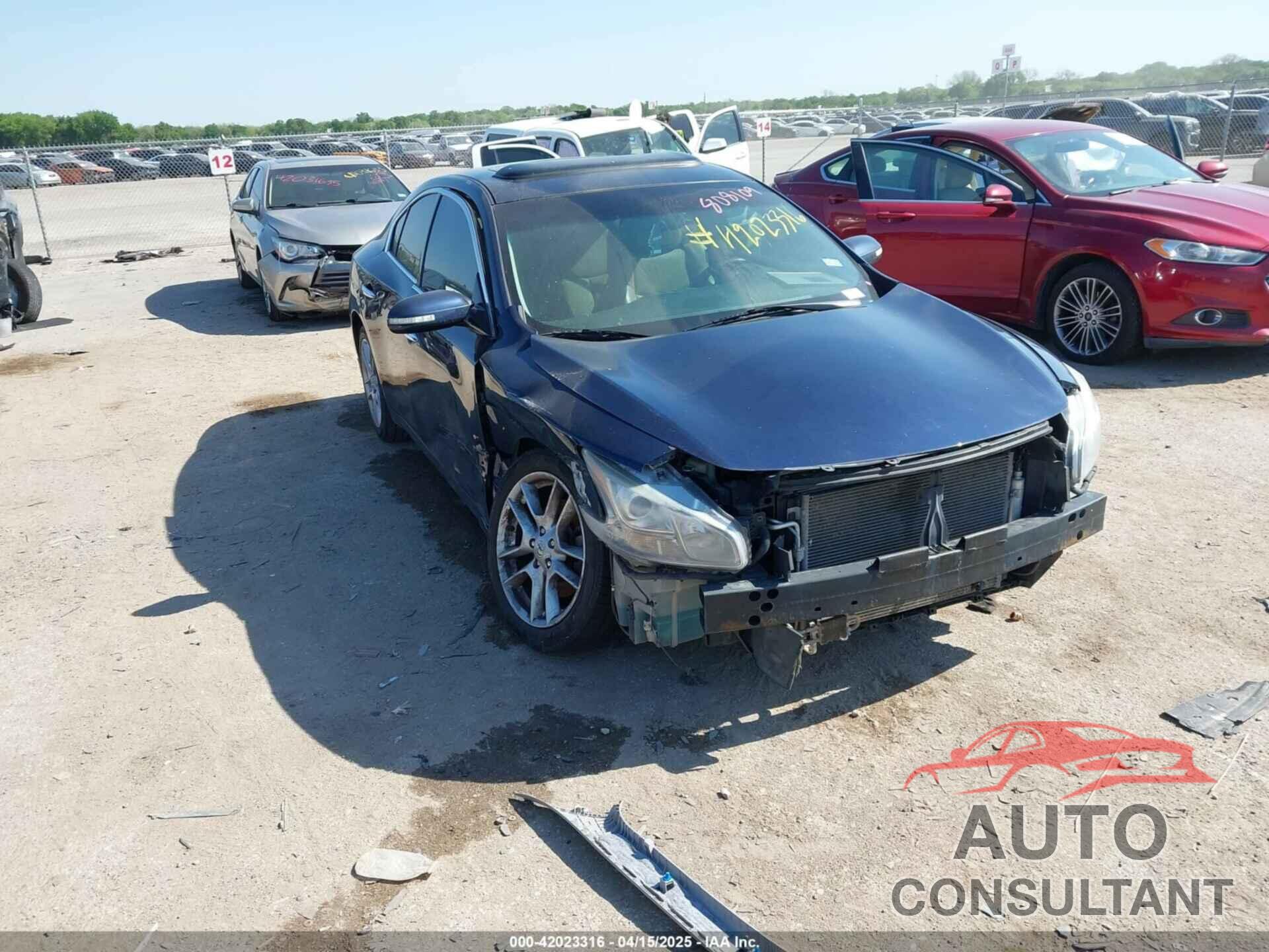 NISSAN MAXIMA 2009 - 1N4AA51E39C808109
