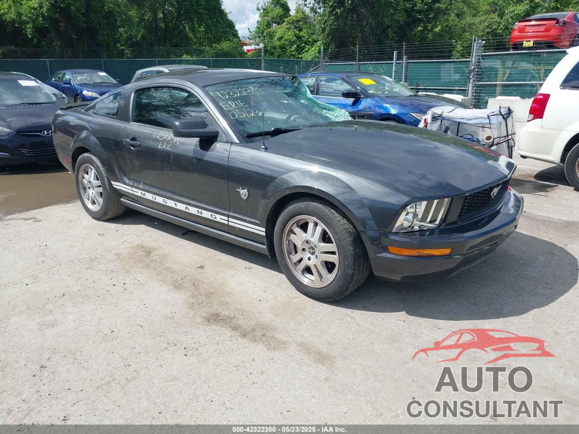 FORD MUSTANG 2009 - 1ZVHT80N395126614