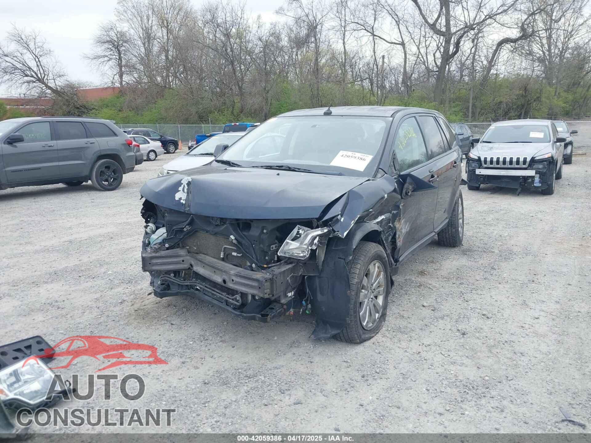 FORD EDGE 2009 - 2FMDK38C59BA54221