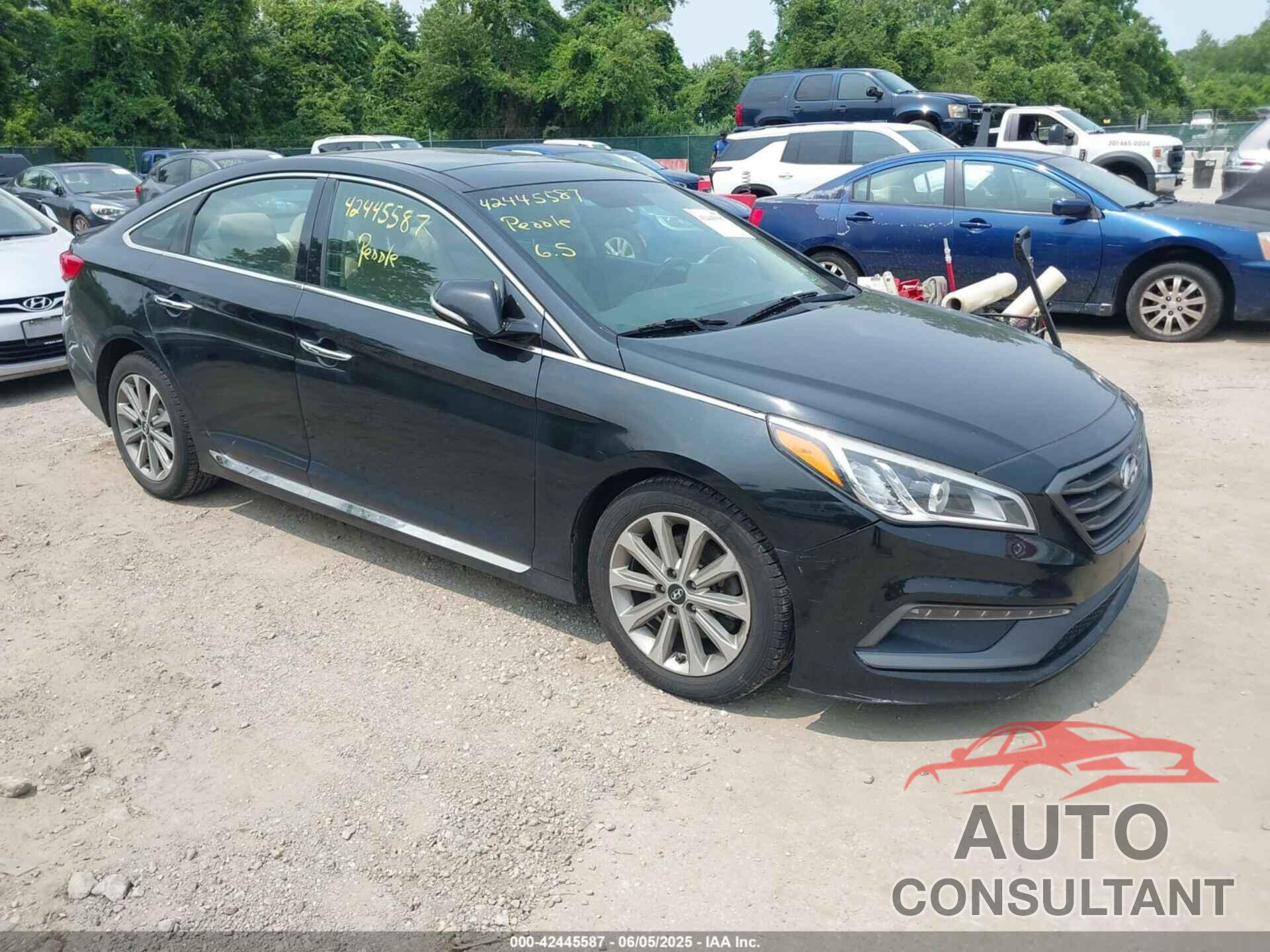 HYUNDAI SONATA 2016 - 5NPE34AFXGH284368