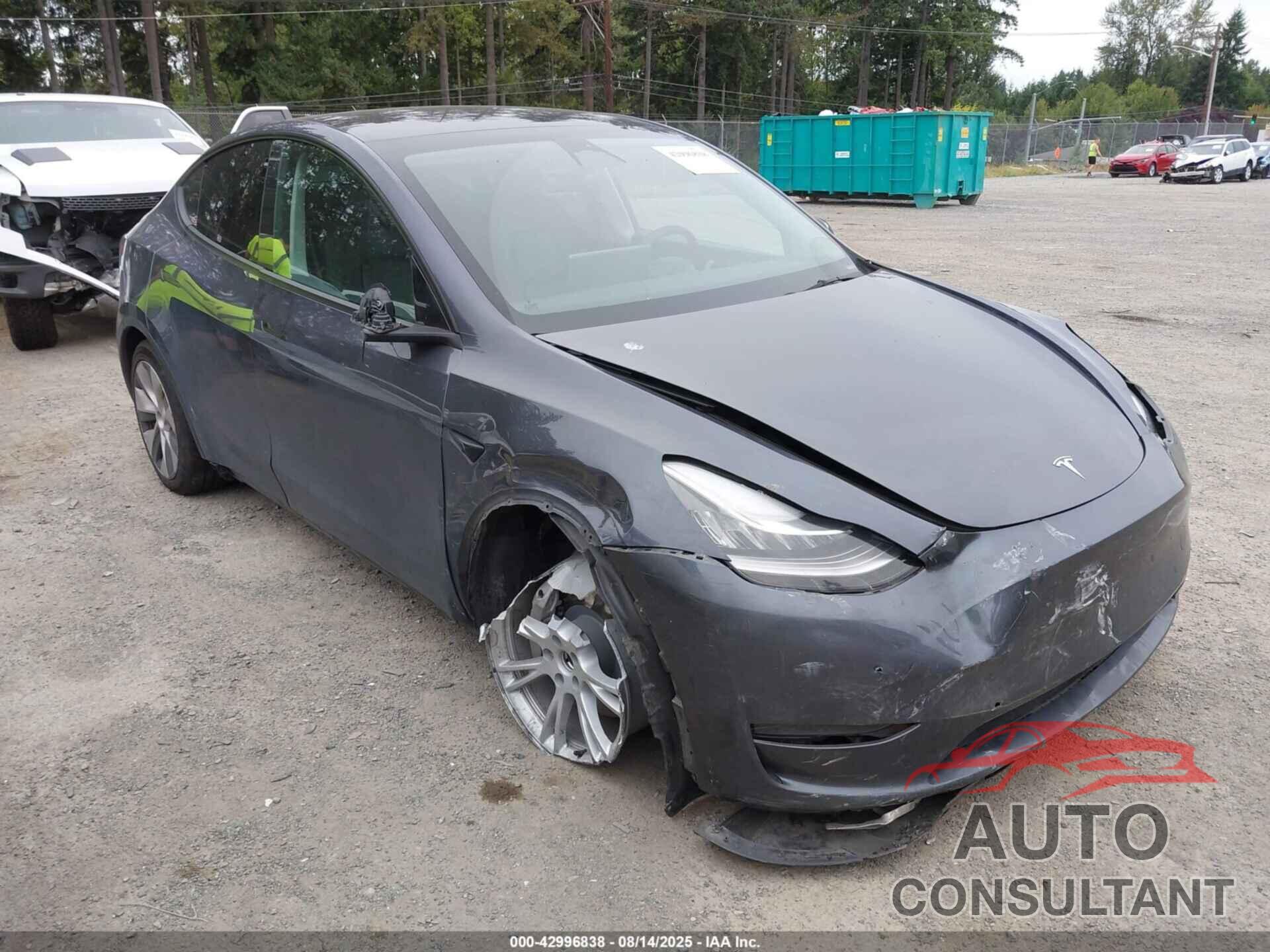 TESLA MODEL Y 2023 - 7SAYGDEE9PF616658