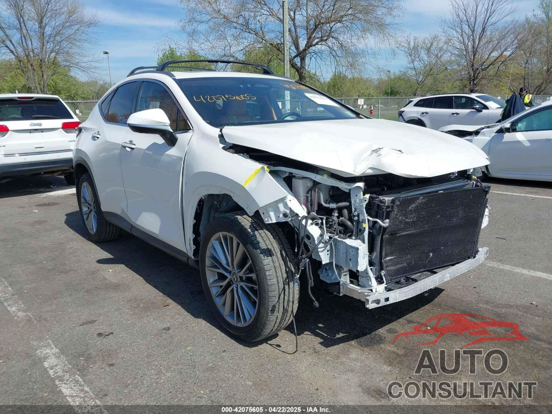 LEXUS NX 350 2024 - JTJHGCEZ9R2011147
