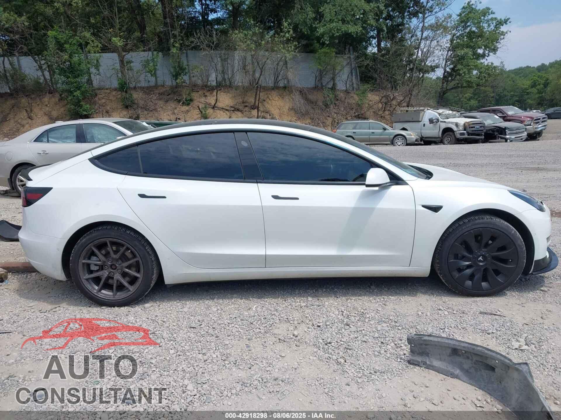 TESLA MODEL 3 2021 - 5YJ3E1EA3MF045351