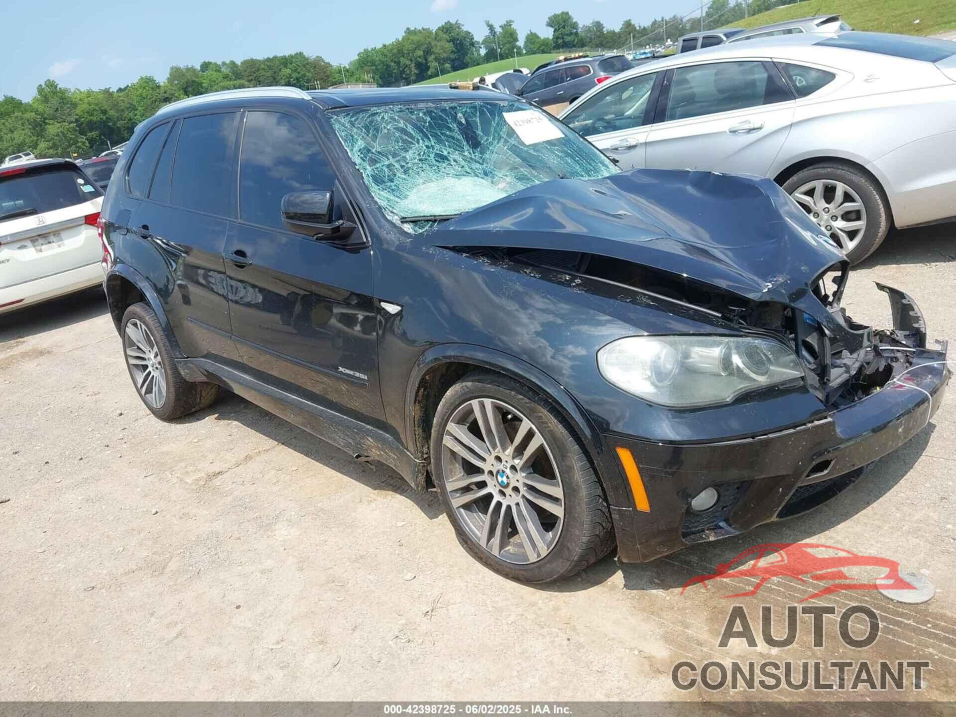 BMW X5 2011 - 5UXZV4C56BL414309