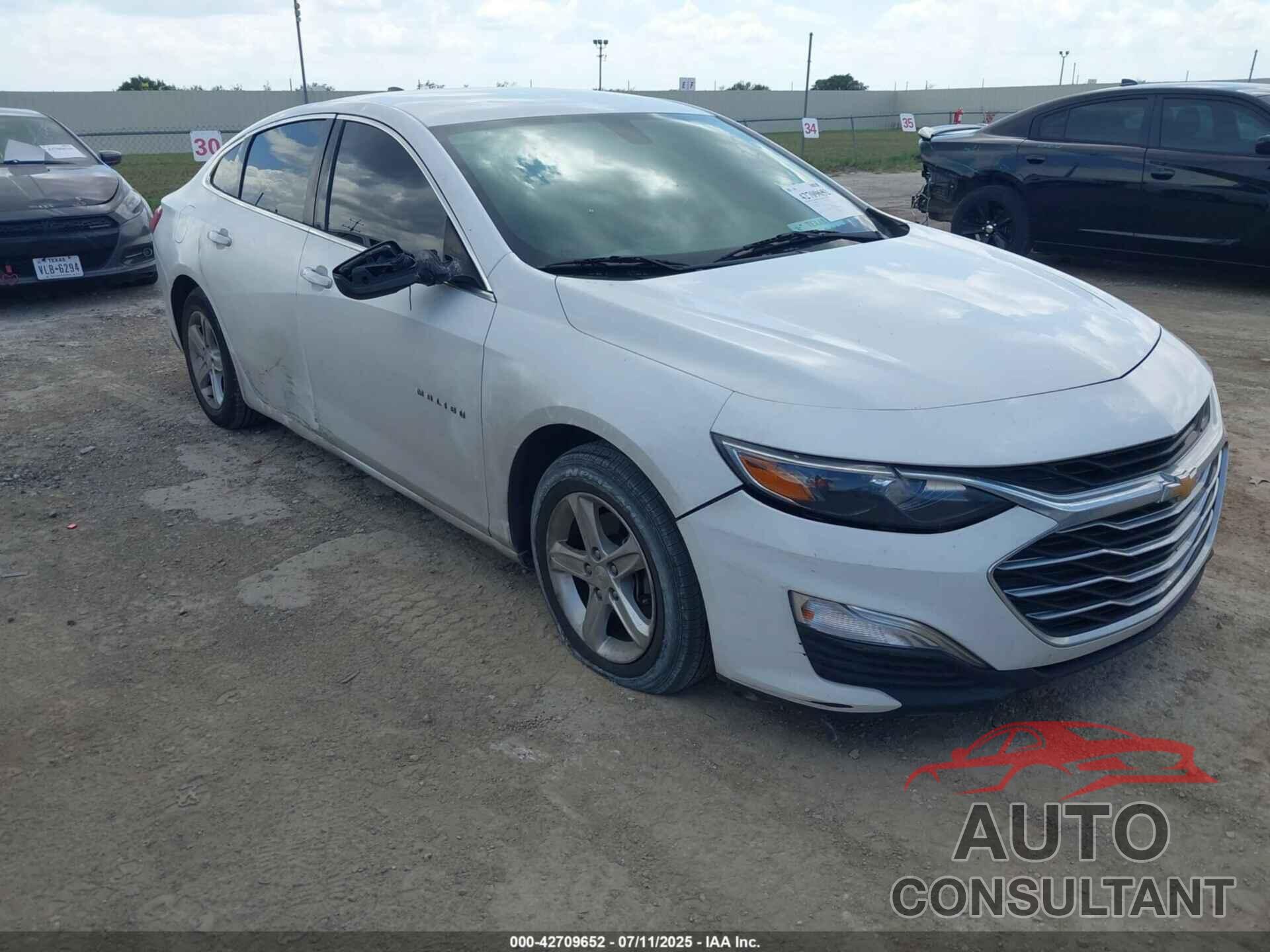 CHEVROLET MALIBU 2019 - 1G1ZB5ST2KF173727