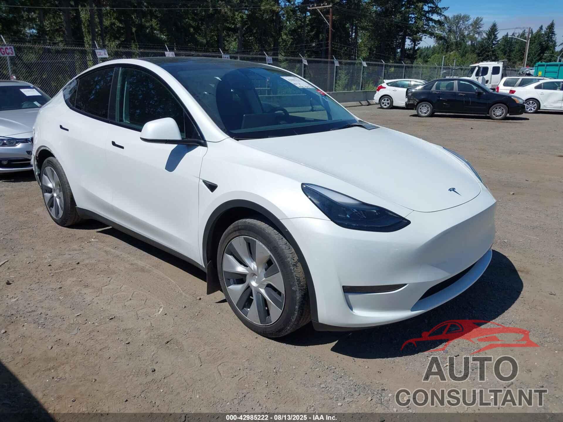 TESLA MODEL Y 2023 - 7SAYGAEE1PF700262