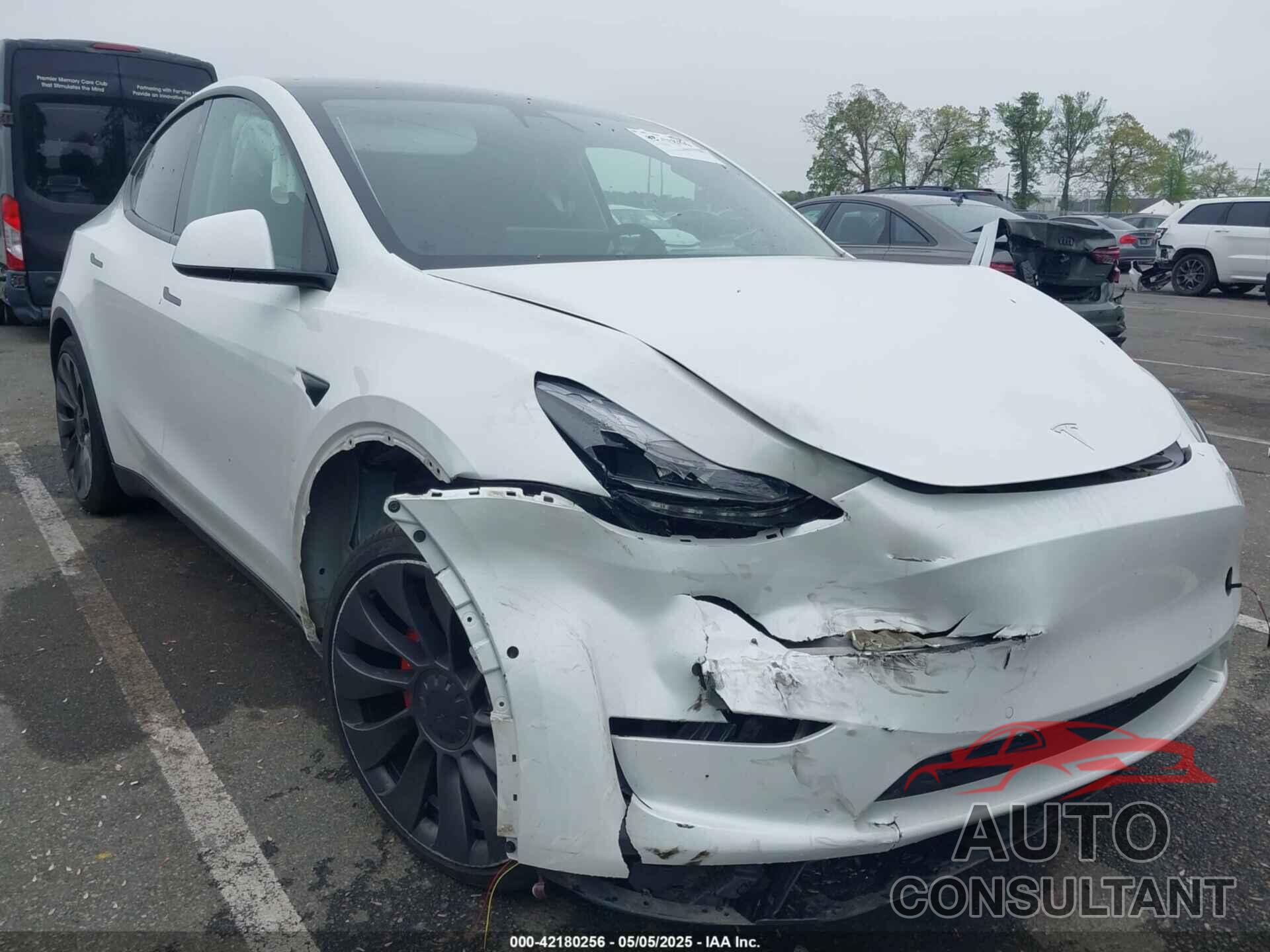 TESLA MODEL Y 2021 - 5YJYGDEF1MF251359