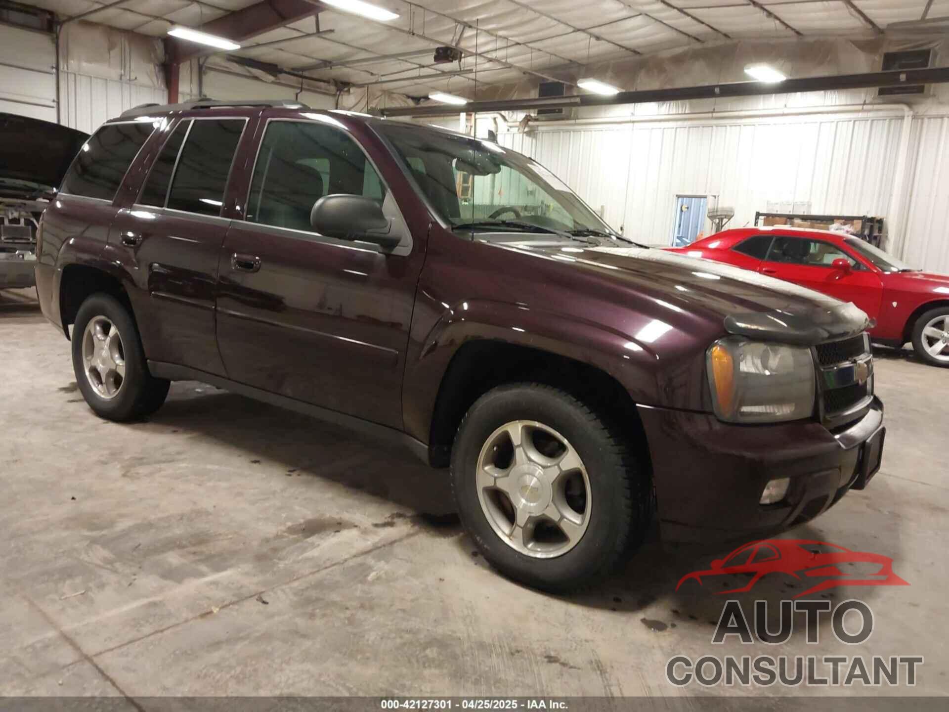 CHEVROLET TRAILBLAZER 2009 - 1GNDT33S192128442