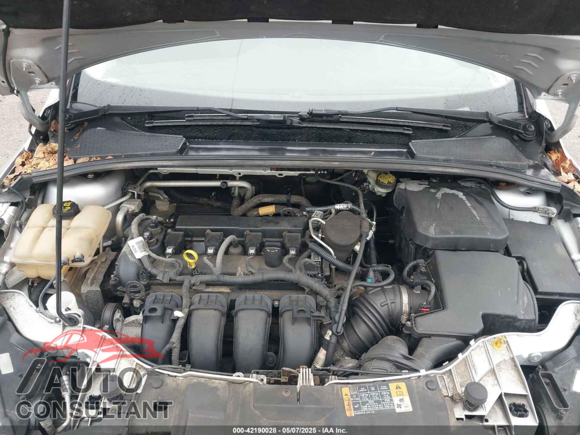 FORD FOCUS 2015 - 1FADP3K2XFL364856