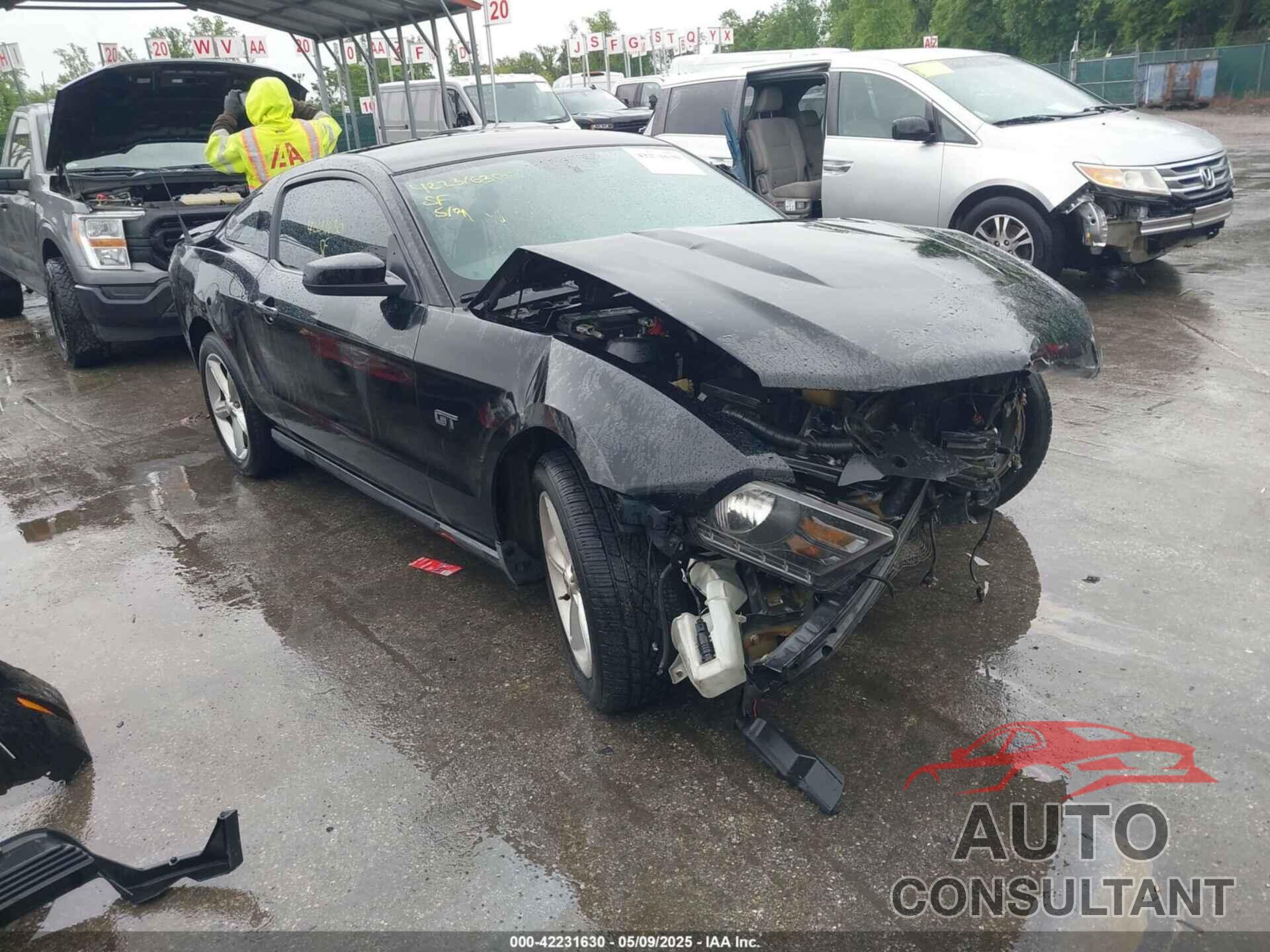 FORD MUSTANG 2010 - 1ZVBP8CH5A5161644