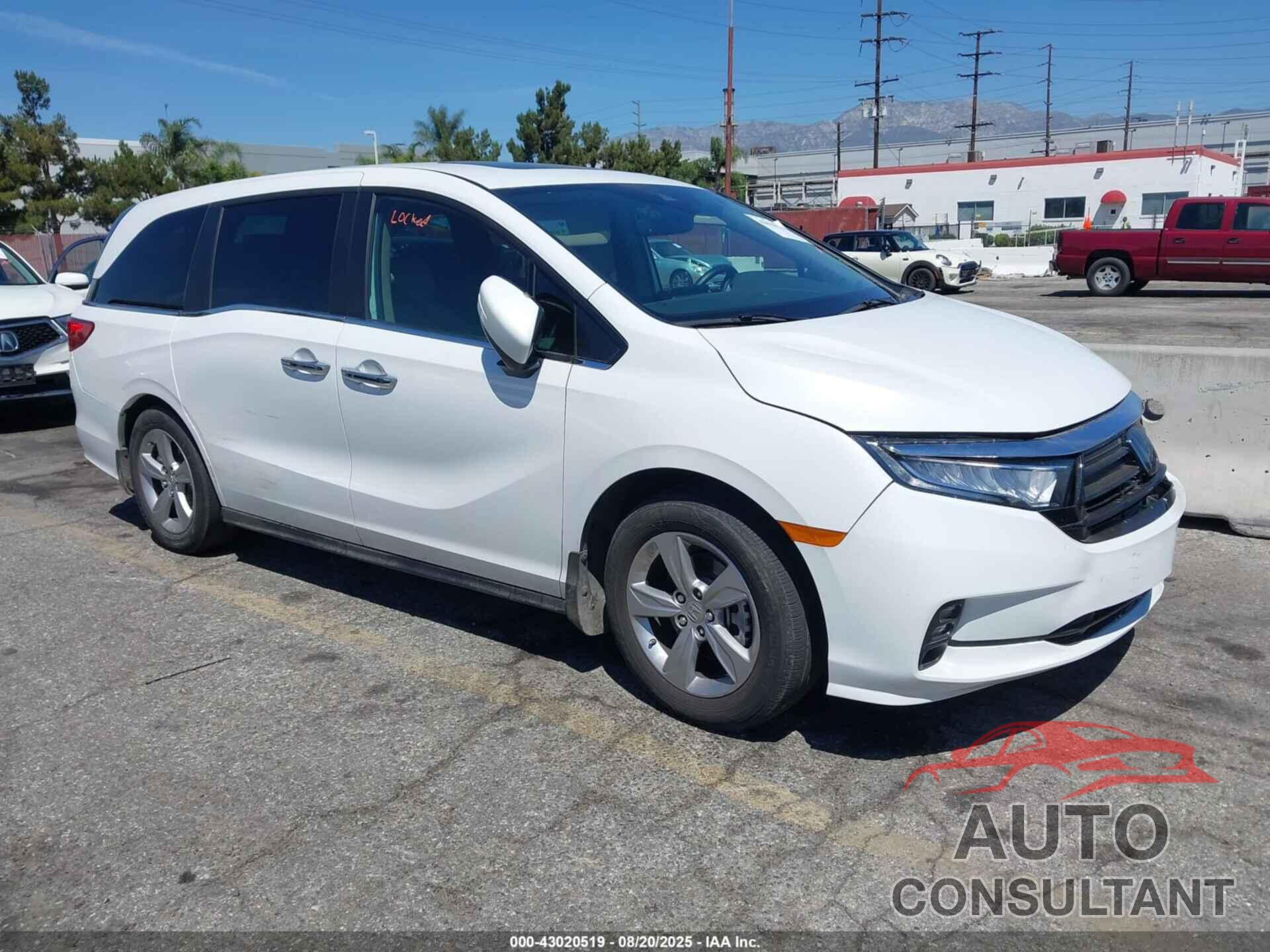HONDA ODYSSEY 2024 - 5FNRL6H69RB051151