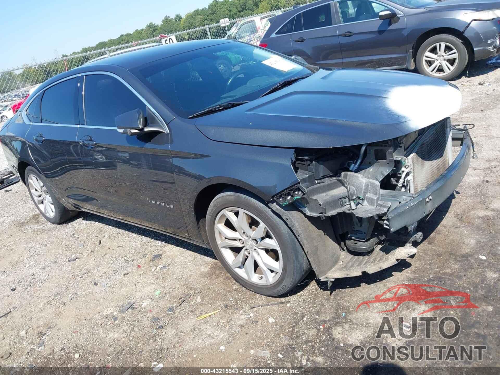 CHEVROLET IMPALA 2019 - 2G11Z5S31K9126416