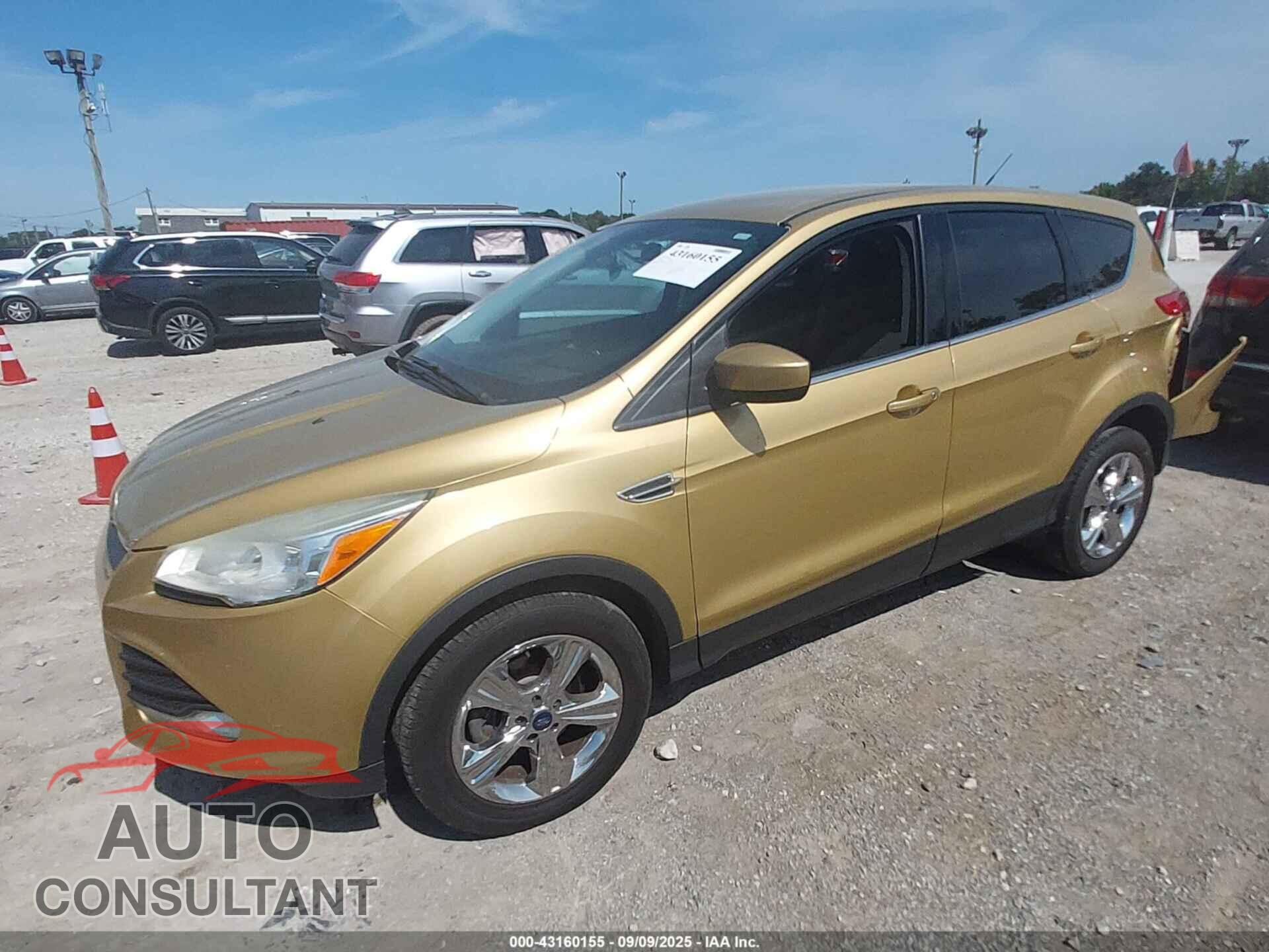 FORD ESCAPE 2014 - 1FMCU0GX8EUC31437