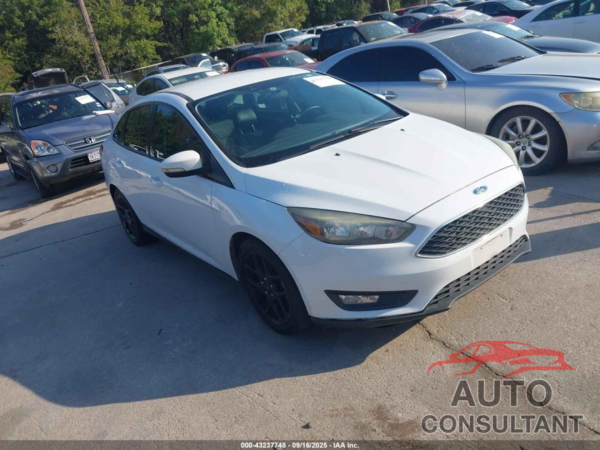 FORD FOCUS 2016 - 1FADP3F23GL360613