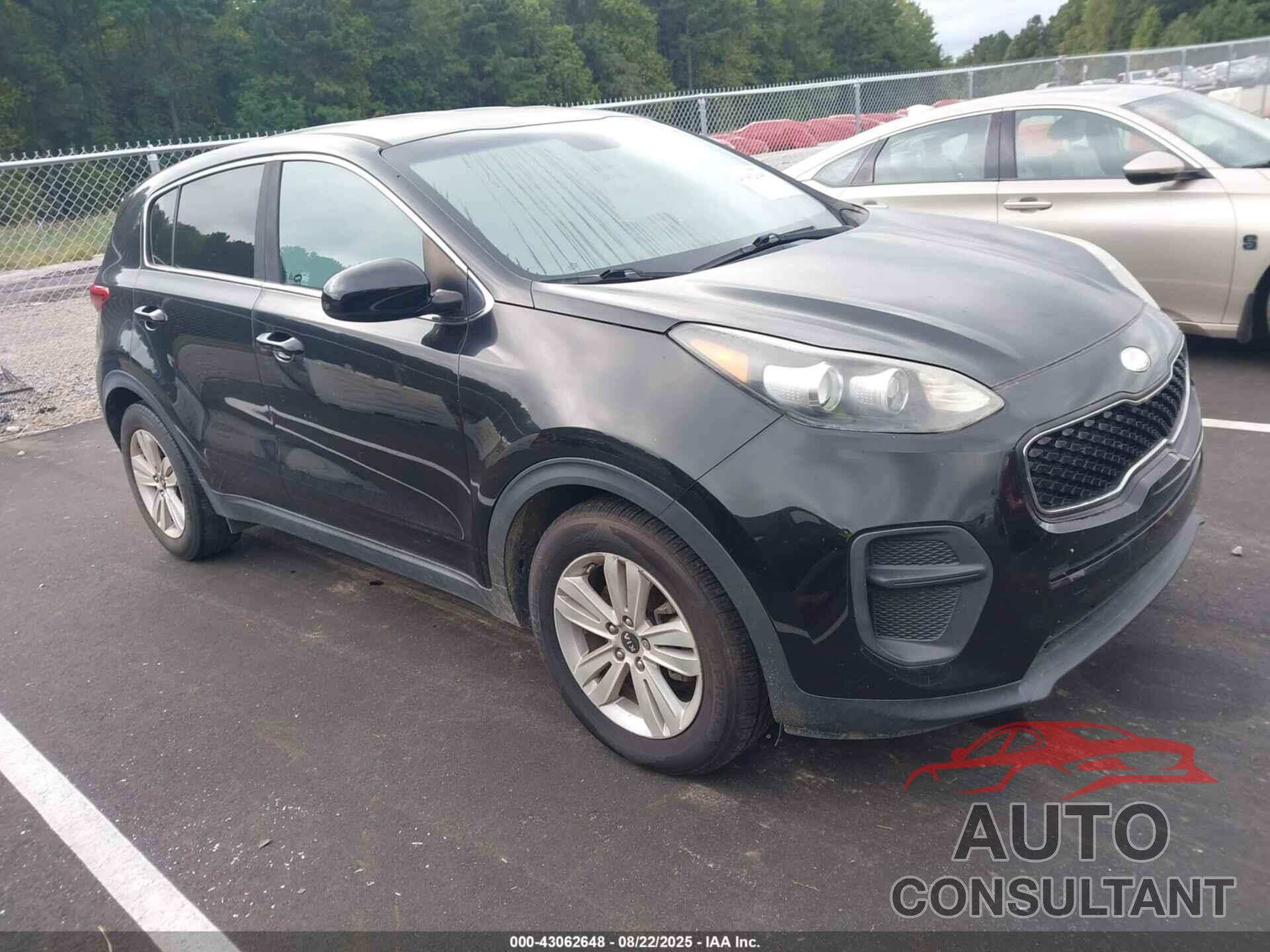 KIA SPORTAGE 2017 - KNDPM3AC5H7150296