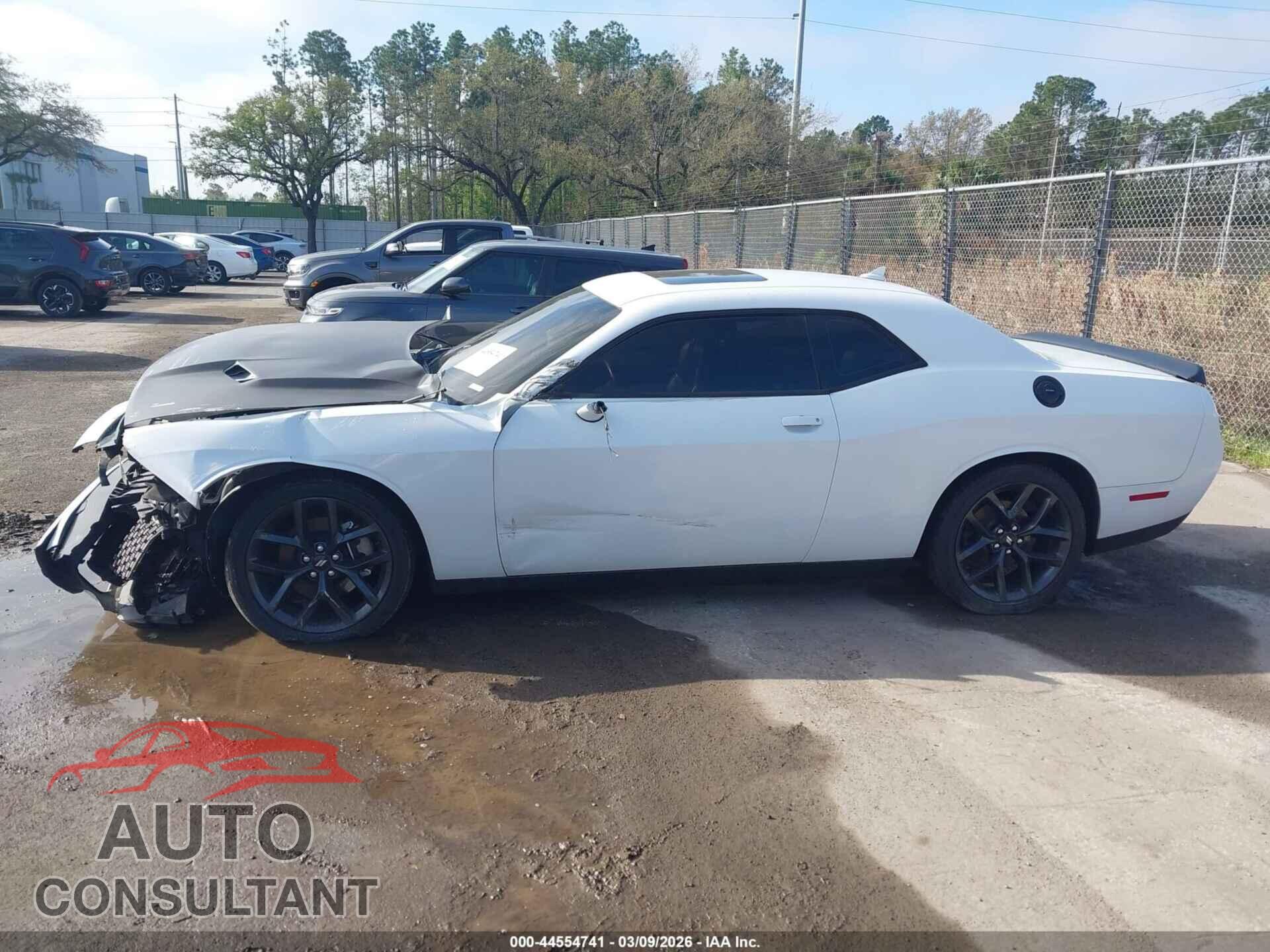 DODGE CHALLENGER 2019 - 2C3CDZAG9KH551483