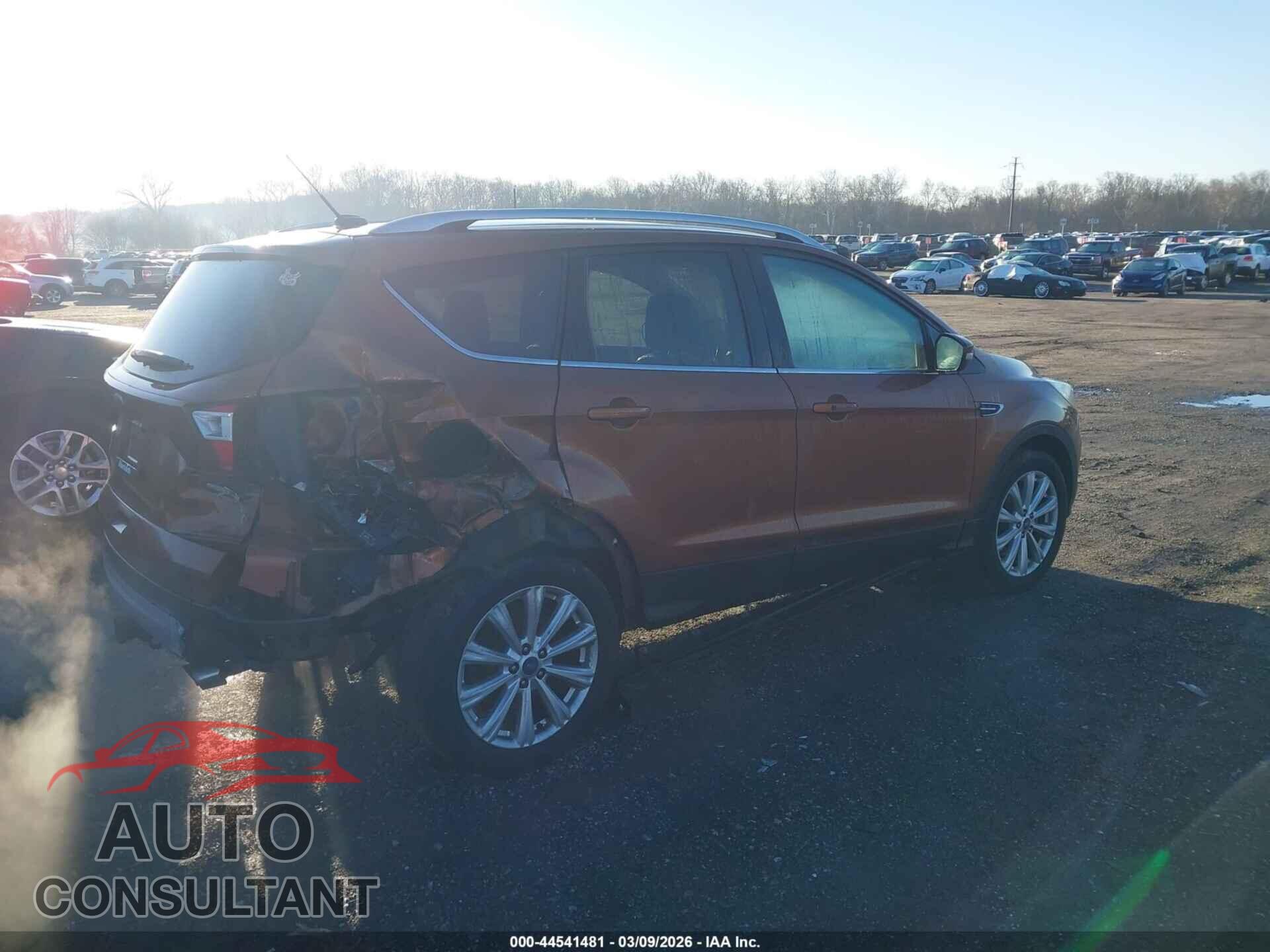 FORD ESCAPE 2017 - 1FMCU9J99HUC06520
