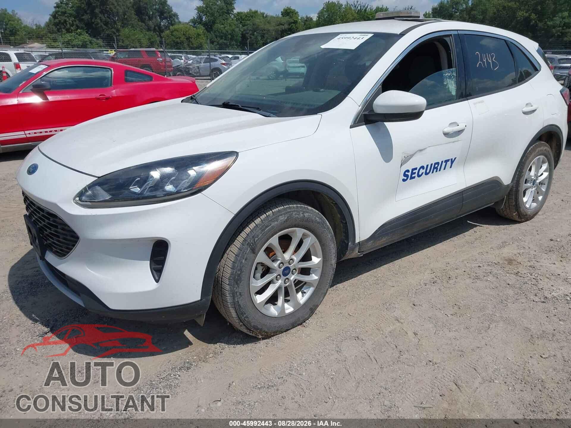 FORD ESCAPE 2020 - 1FMCU9G65LUA86236