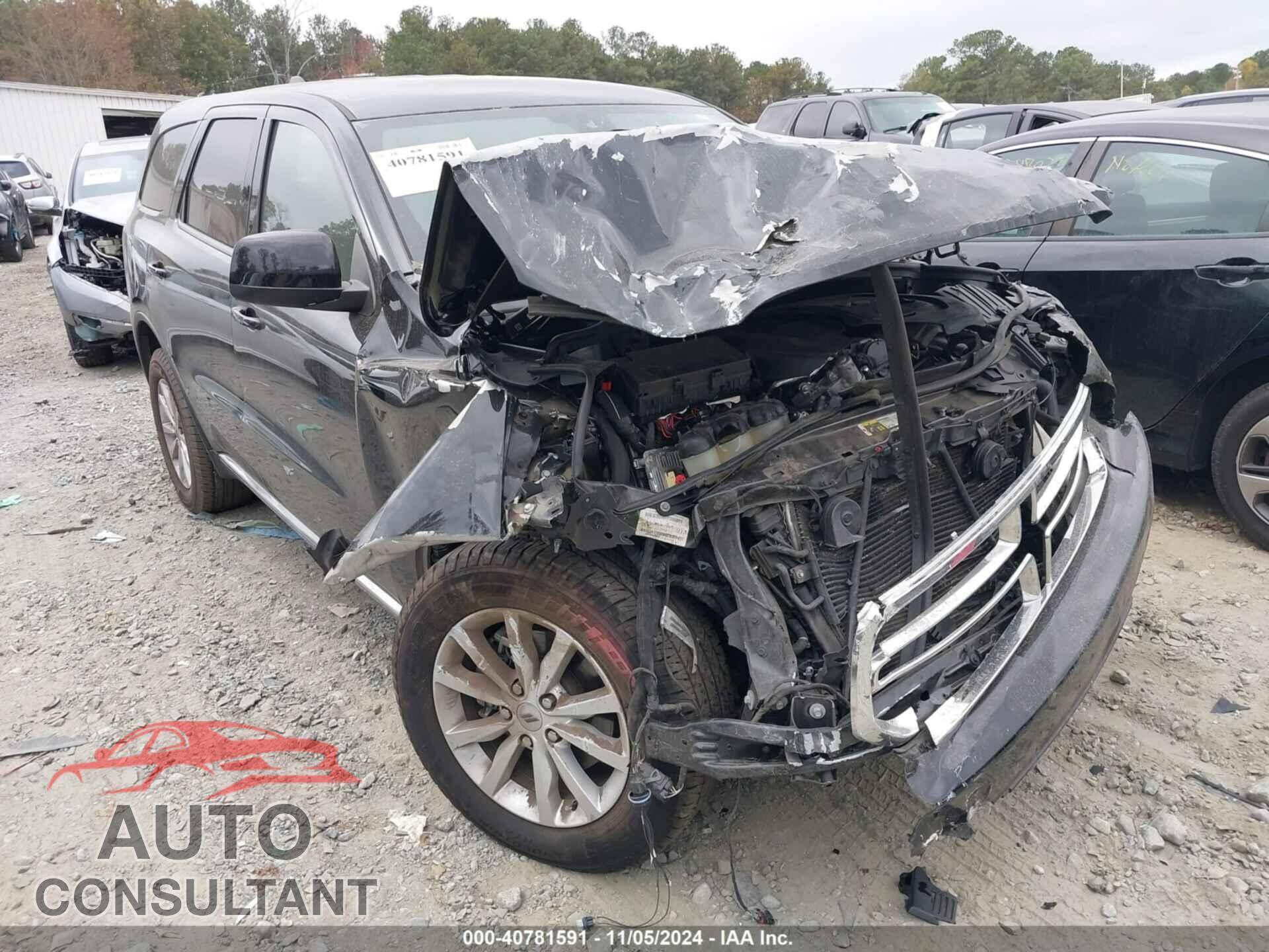 DODGE DURANGO 2019 - 1C4RDHAG8KC659256