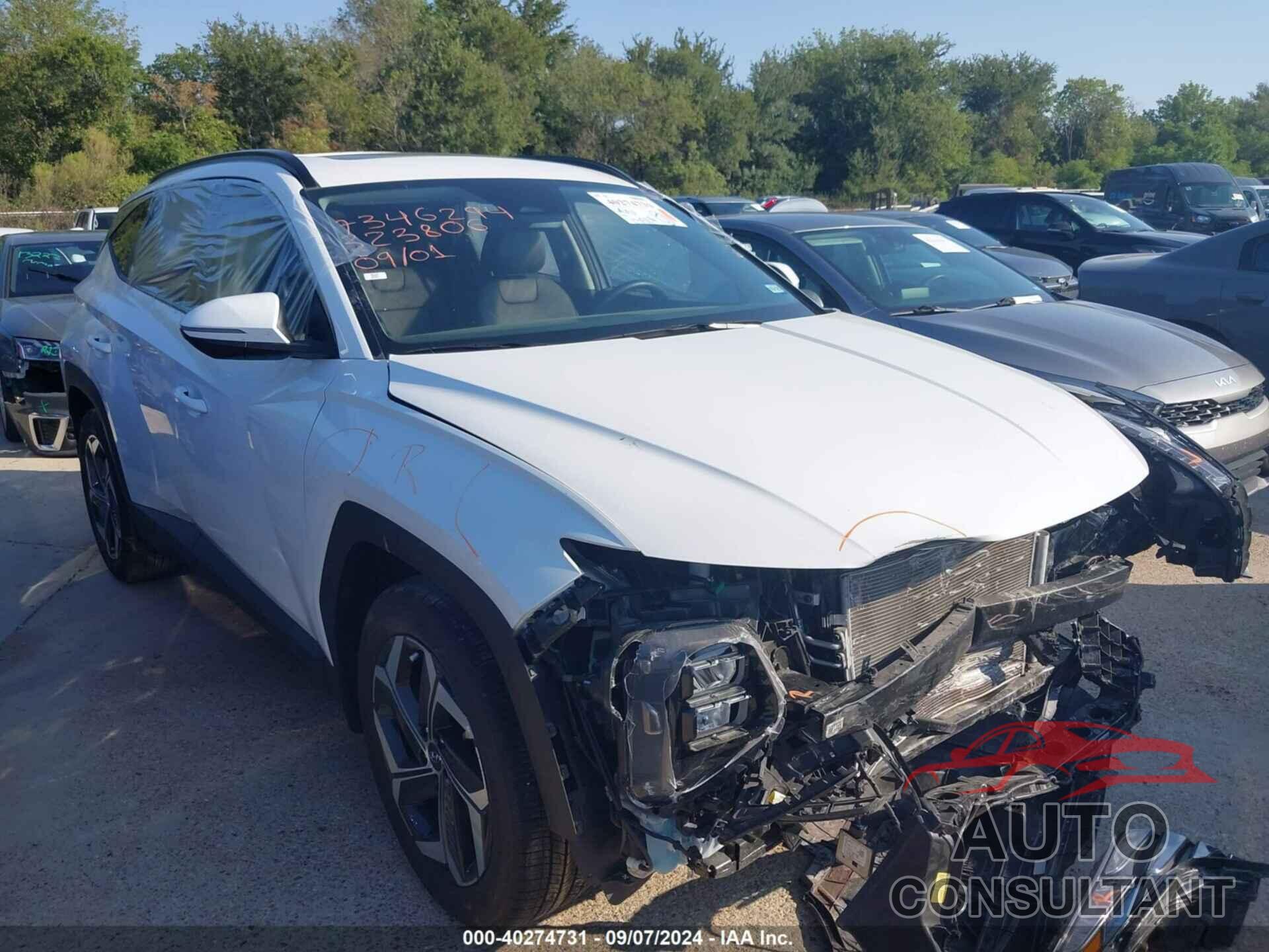 HYUNDAI TUCSON 2024 - 5NMJF3DE3RH323806